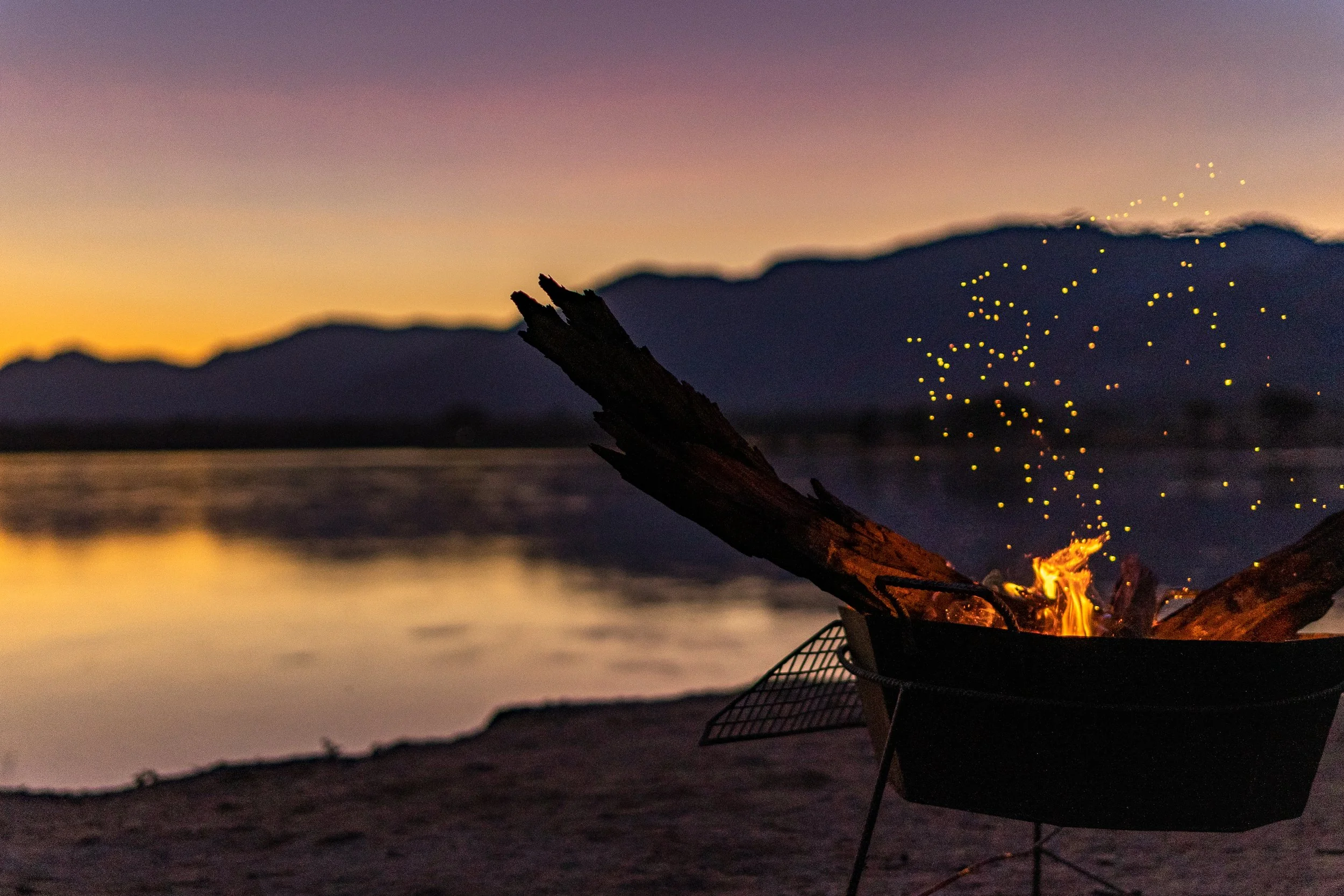 Weichen Lou | Good Evening Zambezi, 2019 | Do You Want To Be Disturbed Too?