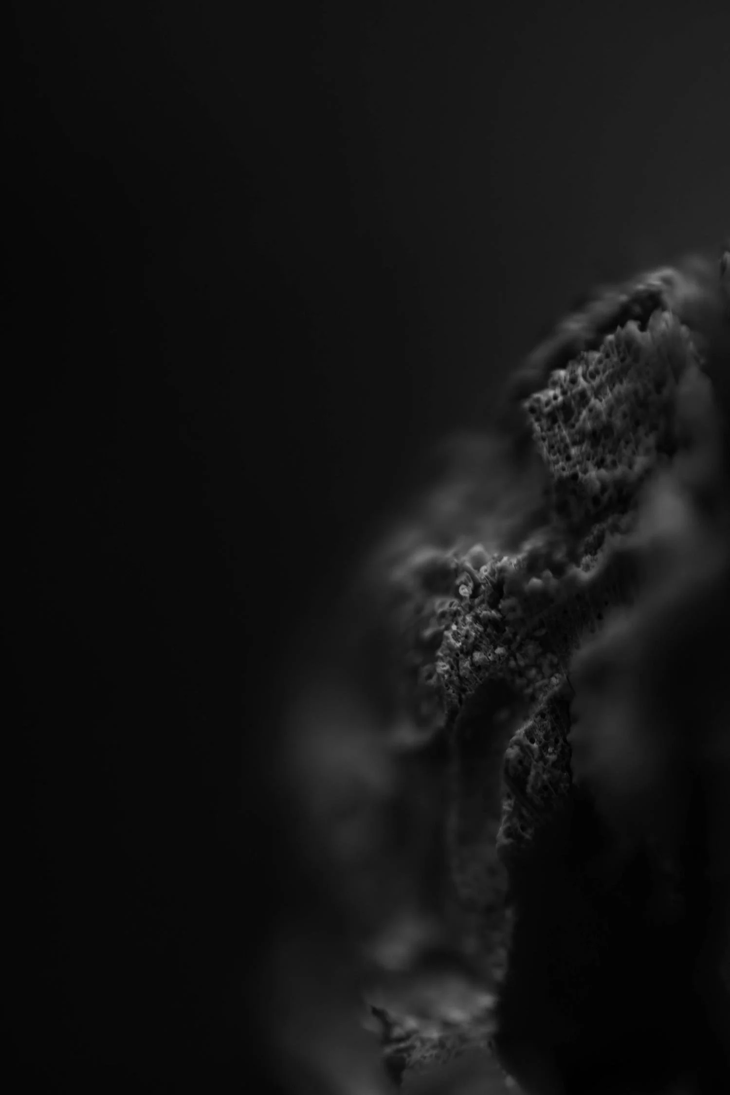 Weichen Lou | Study #4, 2022 | Sublimity in Focus