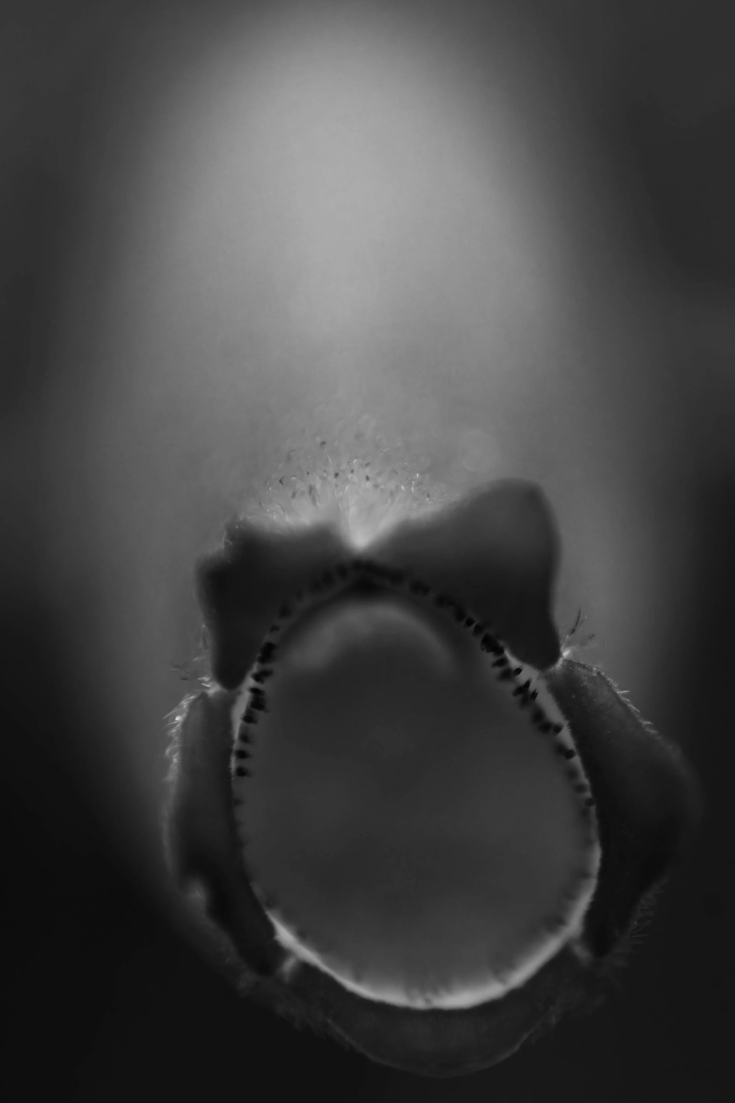 Weichen Lou | Study #2, 2022 | Sublimity in Focus