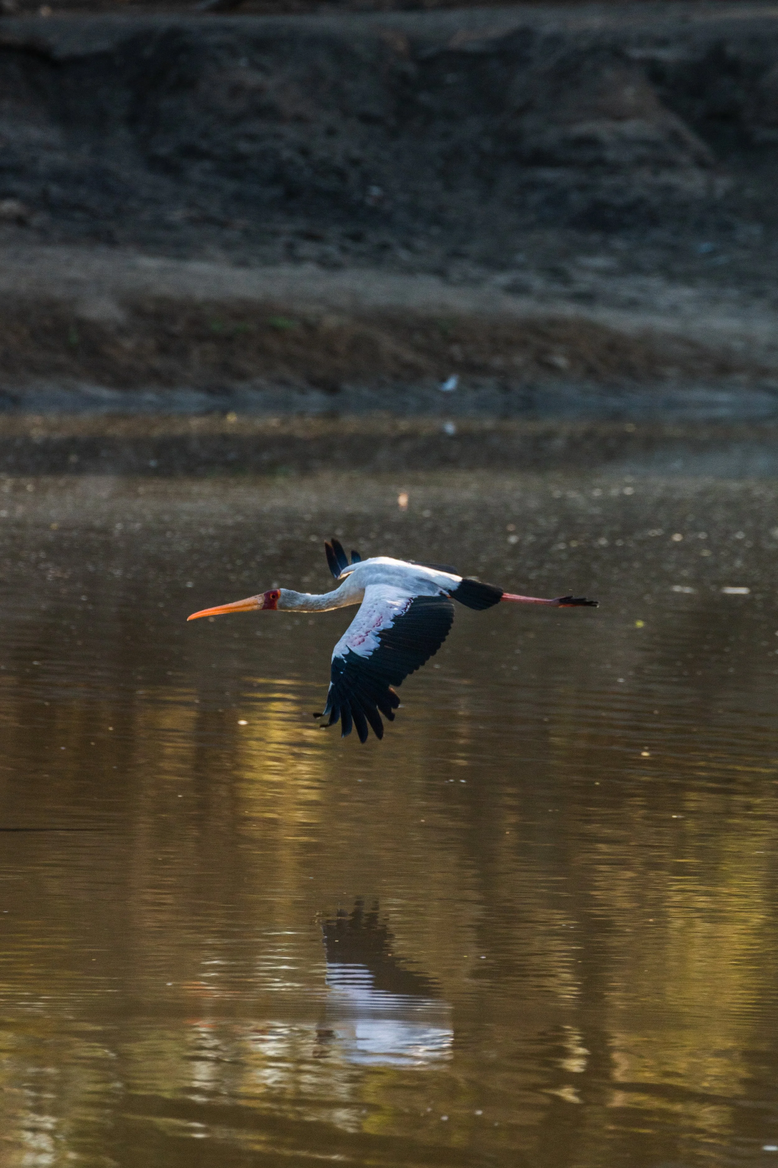 Weichen Lou | Over the Water, 2019 | Do You Want To Be Disturbed Too?