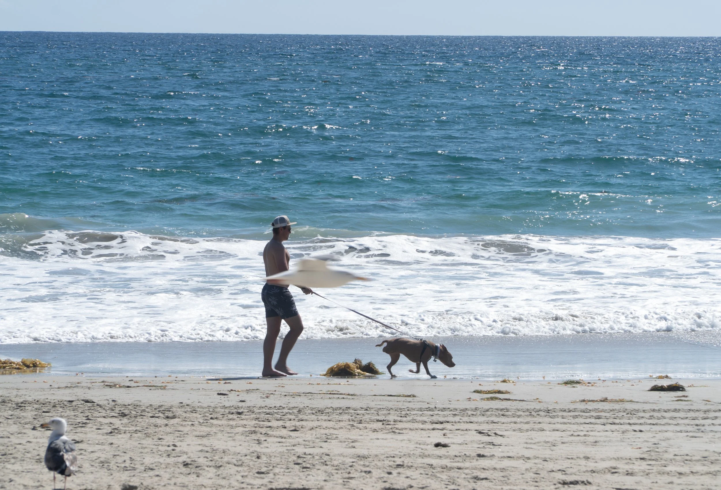 Newport Beach, California (2026) | Sony ZV-E10