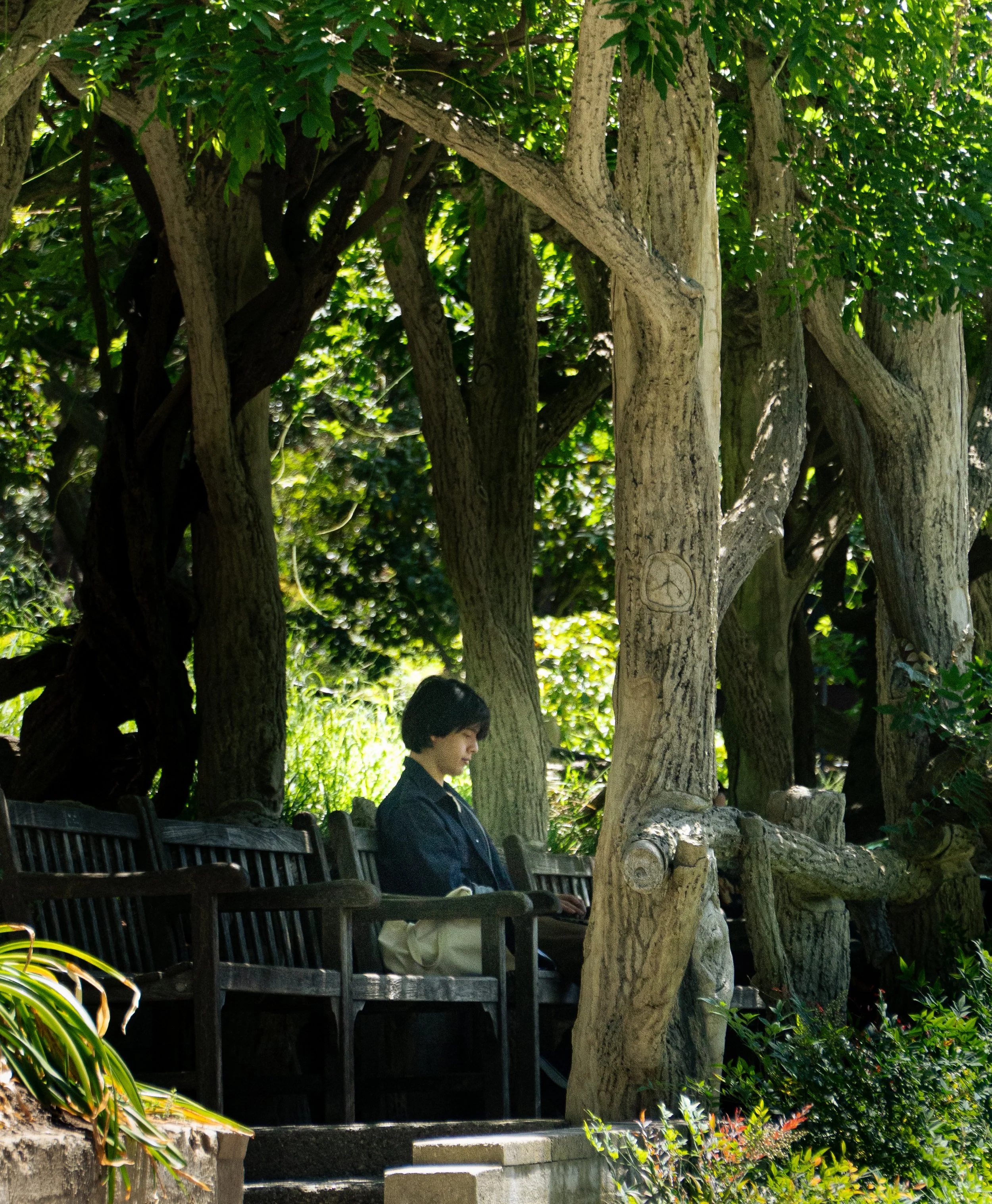 The Huntington Library and Gardens, California (2026) | Sony ZV-E10