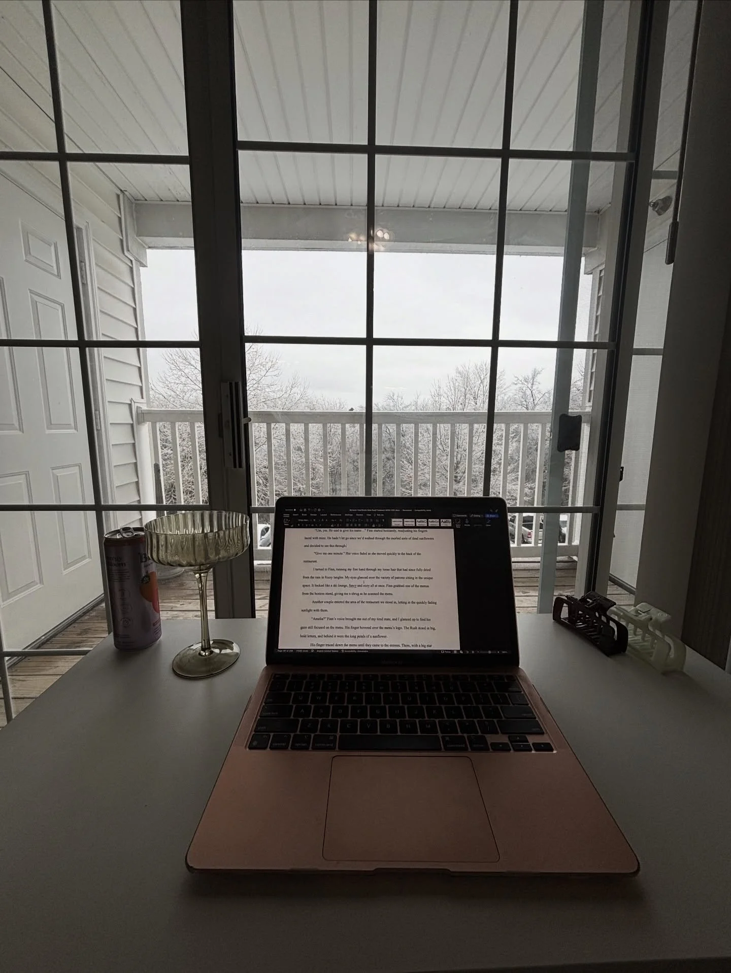 a little winter writers dump ✨

lots of goal setting, vision board making, snow storms, outlining, drafting, editing, querying, marketing and even some fun events to spice things up