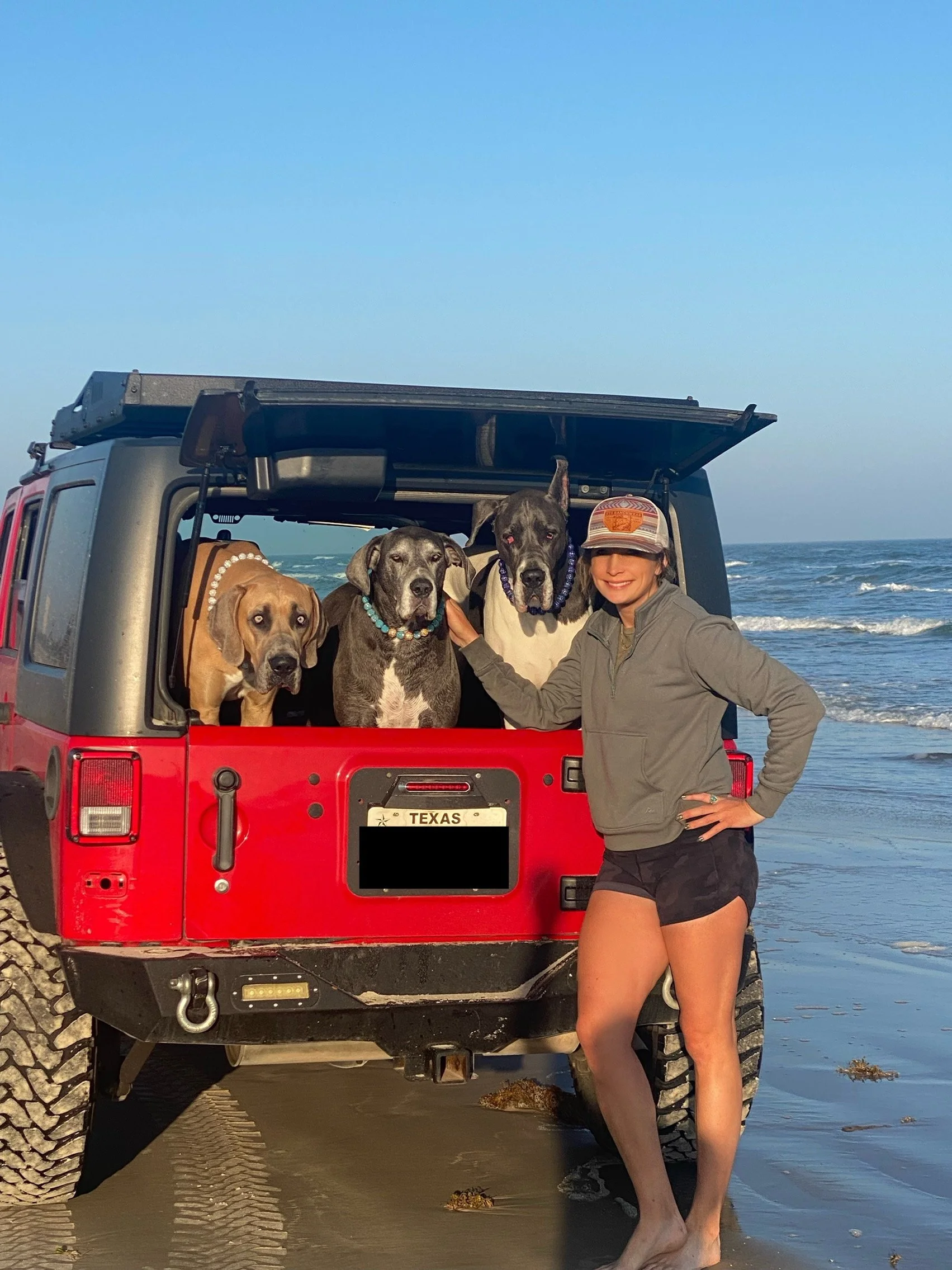 A woman in a gray jacket, black shorts, and a cap standing on a beach next to a red off-road vehicle with three large dogs inside and hanging out of the back.