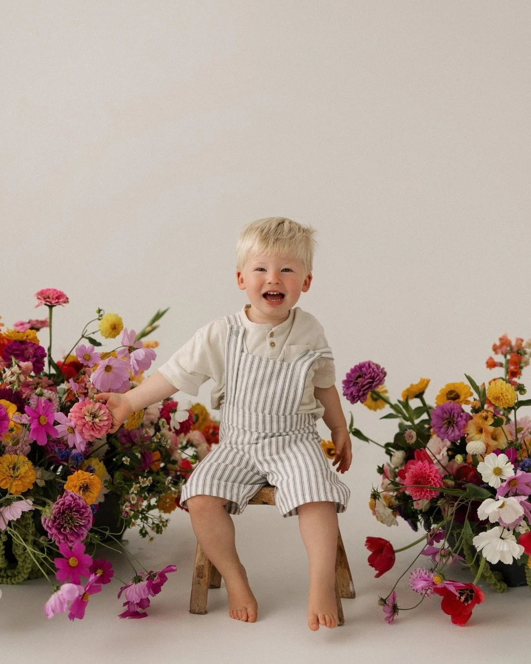 What a treat to meet adorable Mr Henry a few months ago - we can make so much magic in just 15 mins!
#studioportrait  #familyphotos  #newbornphotography  #letthembelittle  #nzphotography  #littlelove  #nzphotographer #palmerstonnorthphotographer