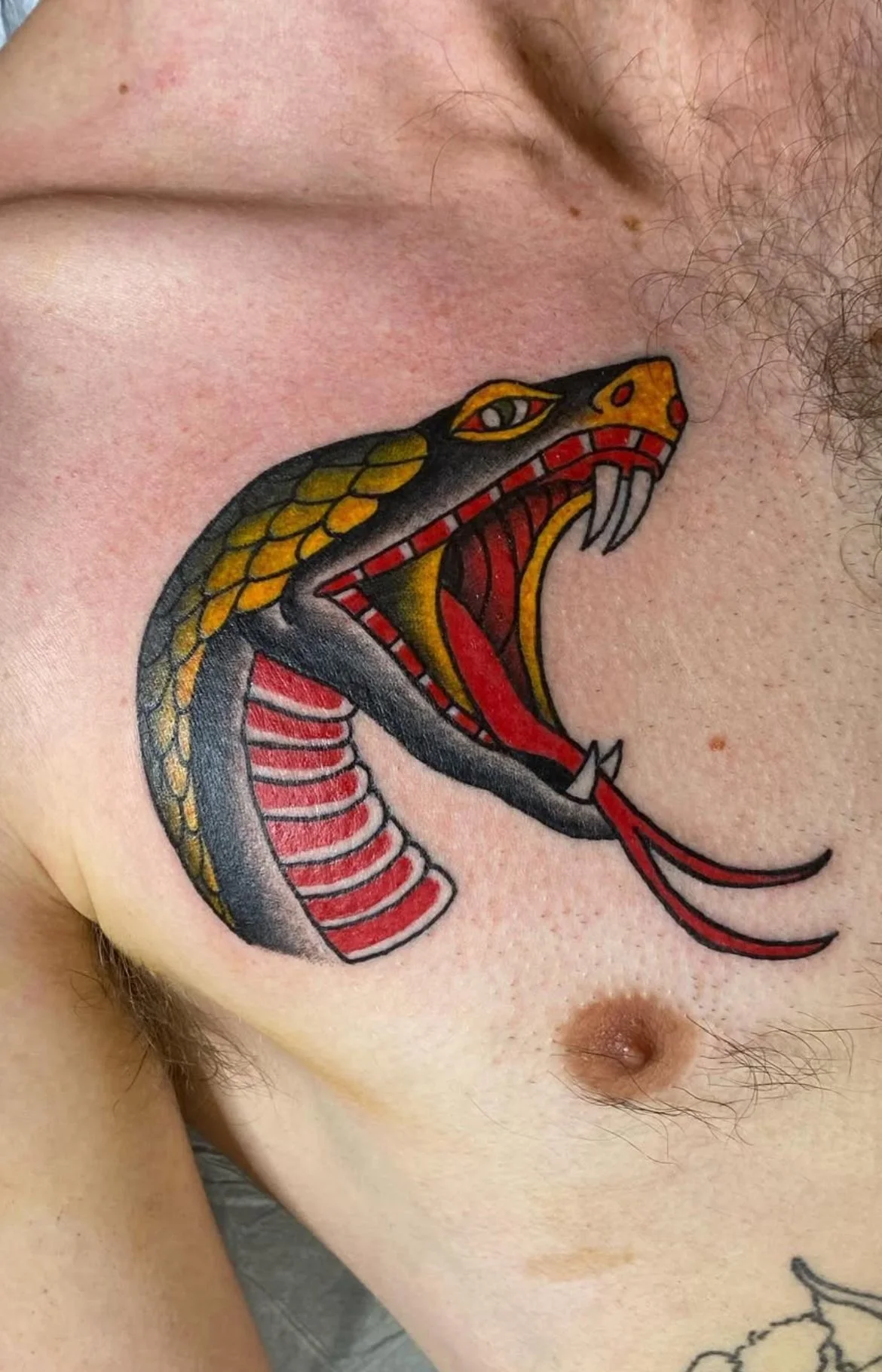 Traditional  snake tattoo with bold linework done in San Diego