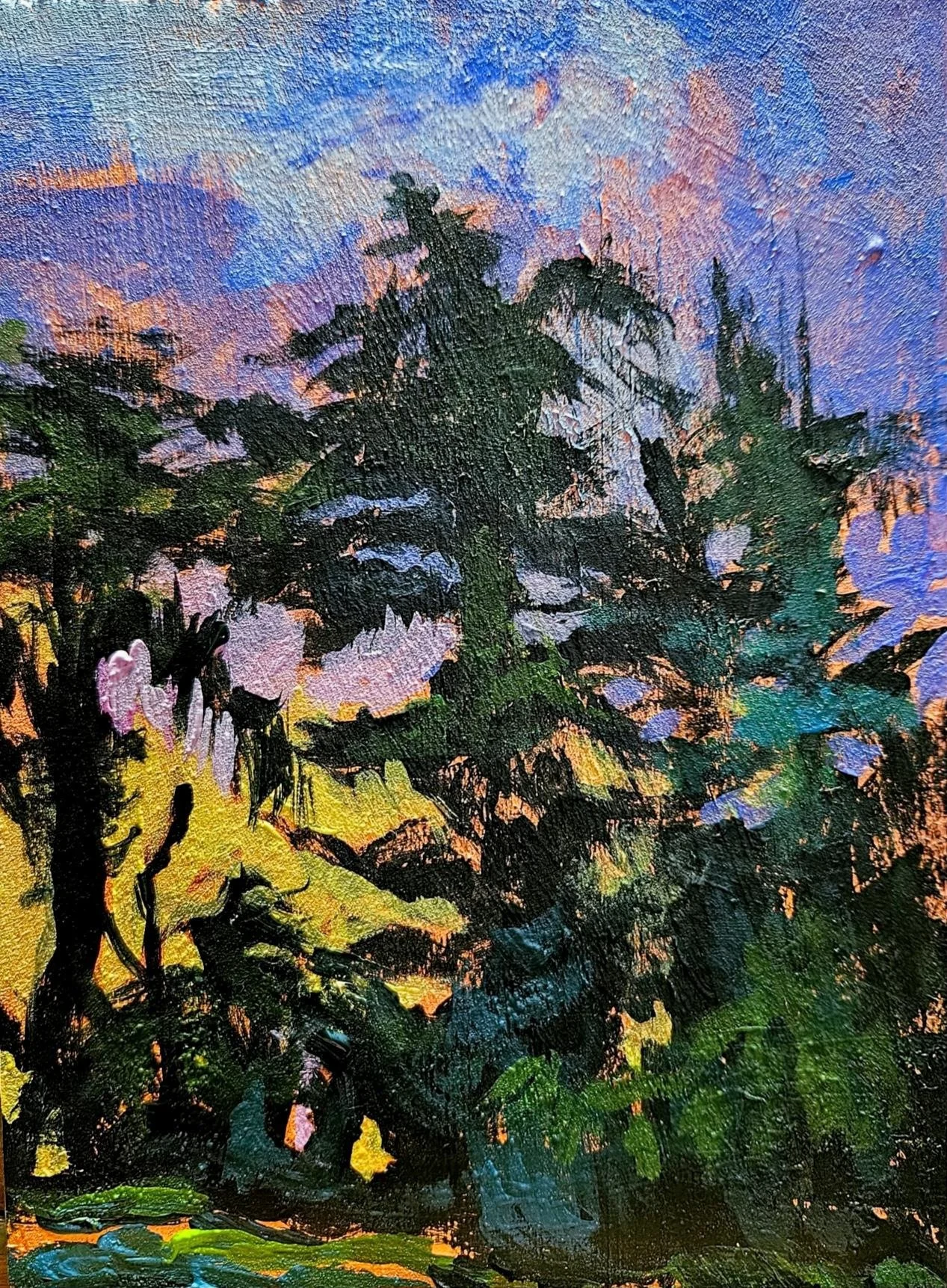 Resplendant Pines.JPG