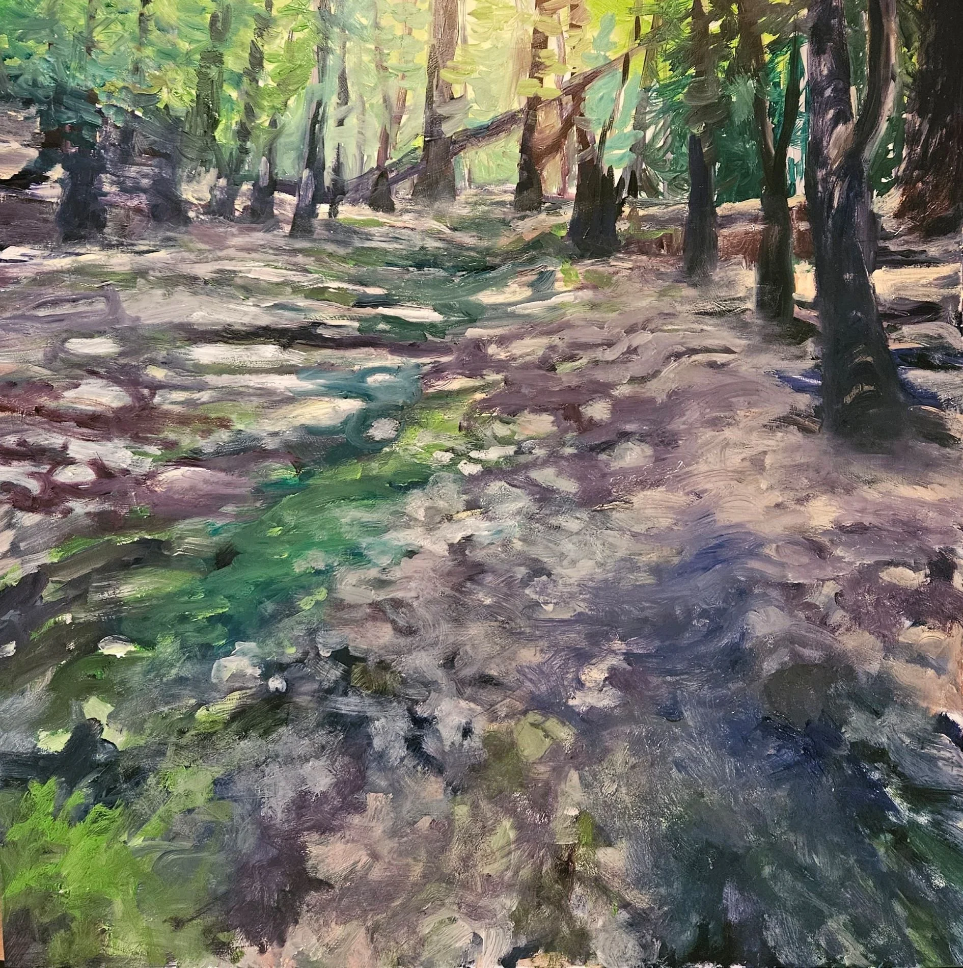 The Forest Floor.jpg