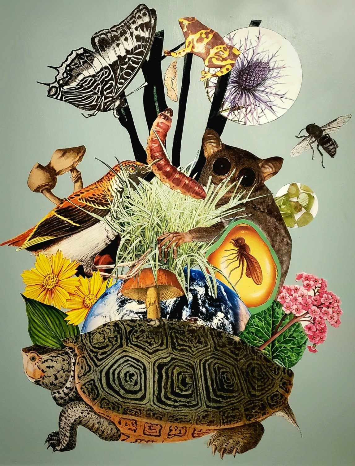 Bridie Wolejko_World Turtle III_Collage_12x16_2021_300.jpg
