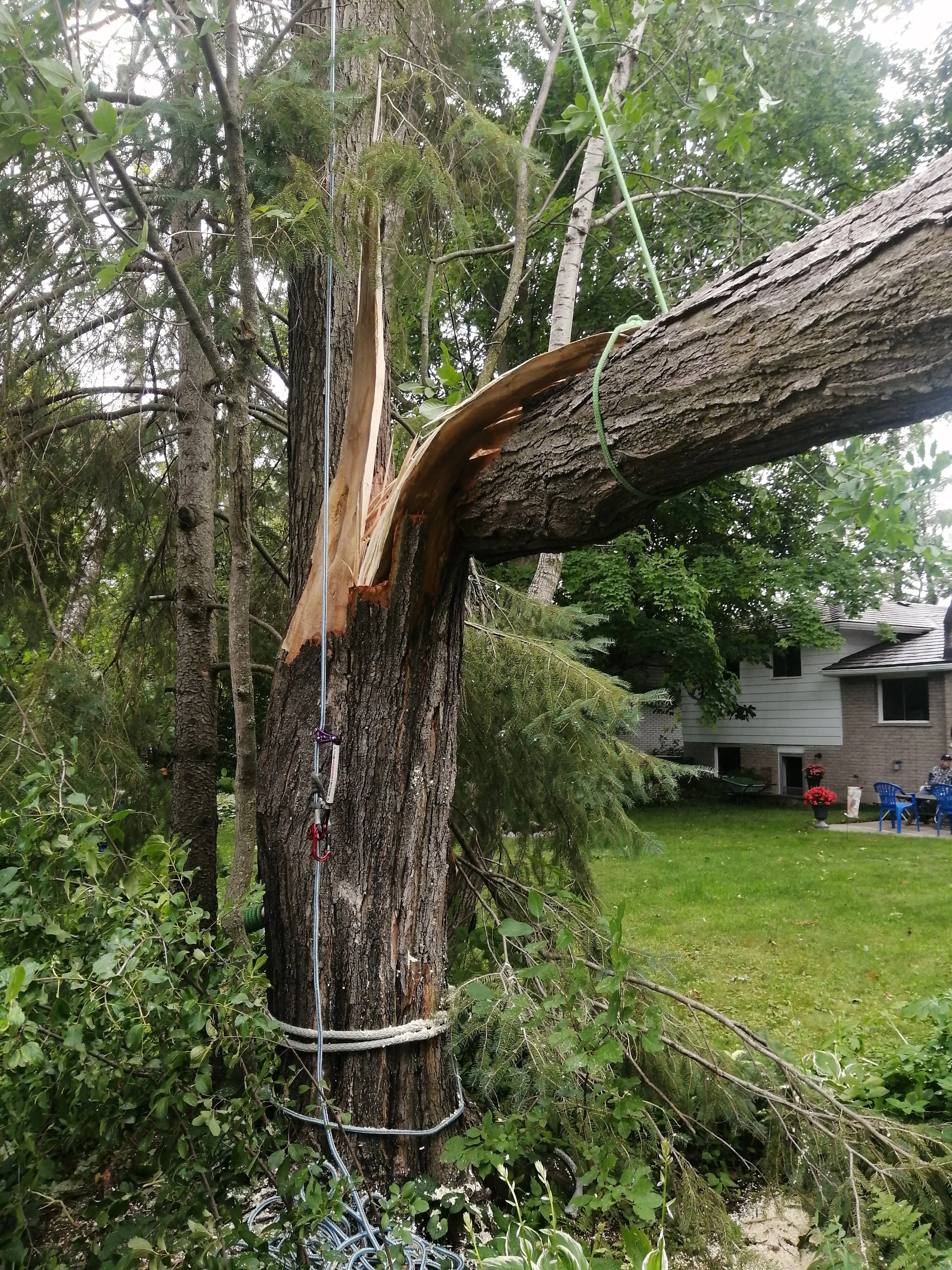 Storm Damage 
