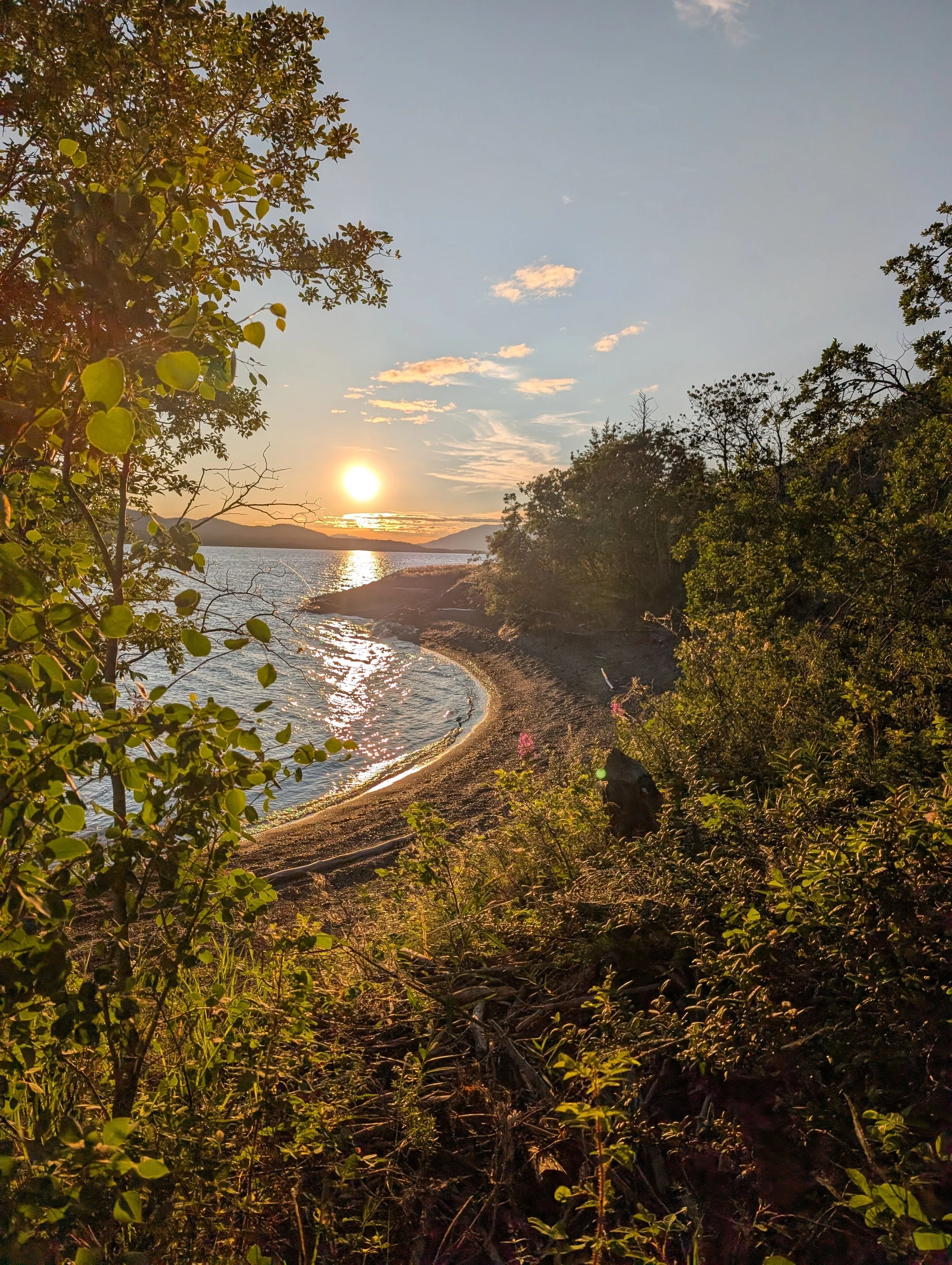Small private beach surrounded by green forest, with sunset background.
