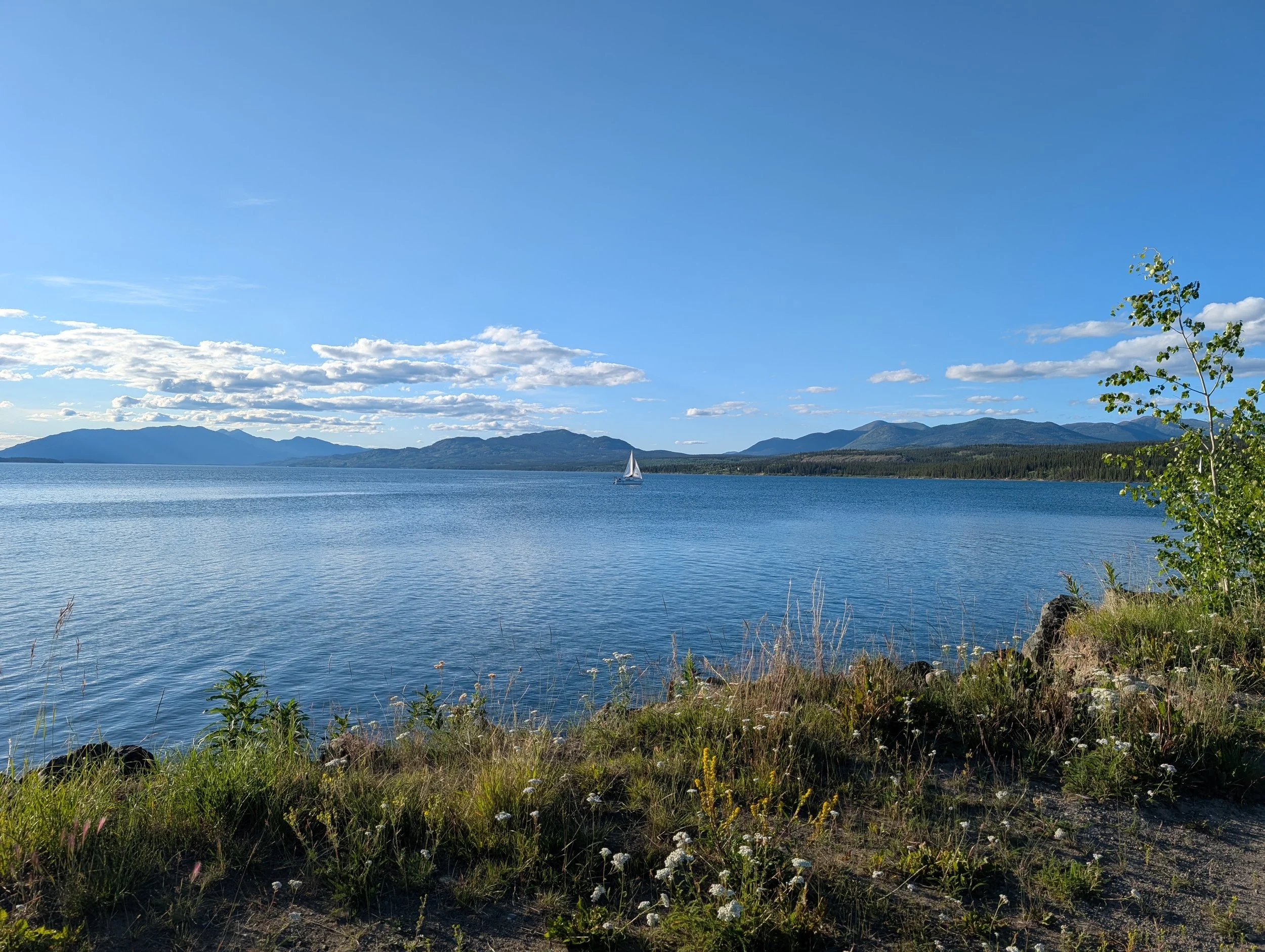 A serene lake with a sailboat in the distance, surrounded by mountains and a clear blue sky with scattered clouds. Green foliage and rocks are visible along the shoreline.