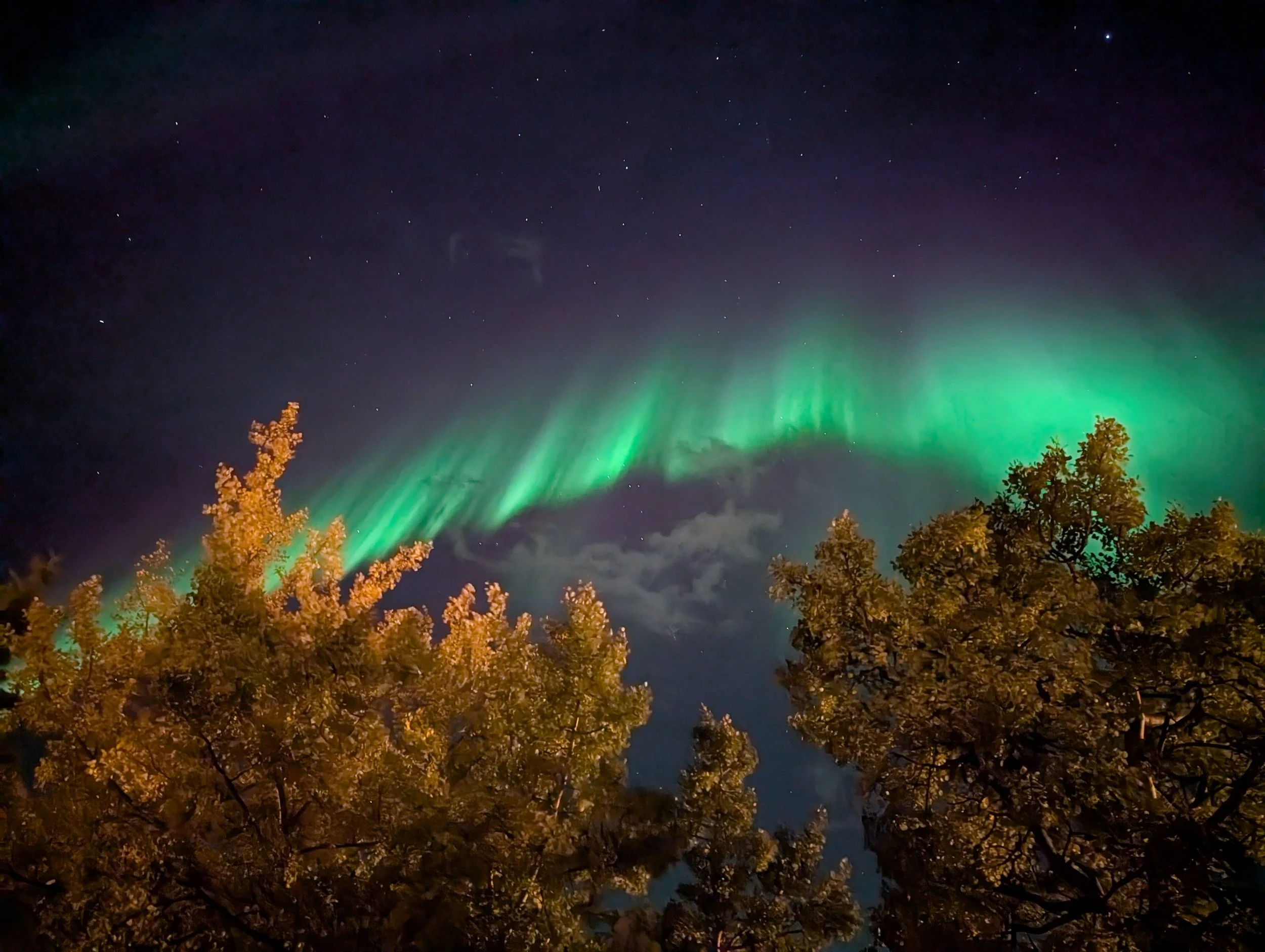 Northern lights