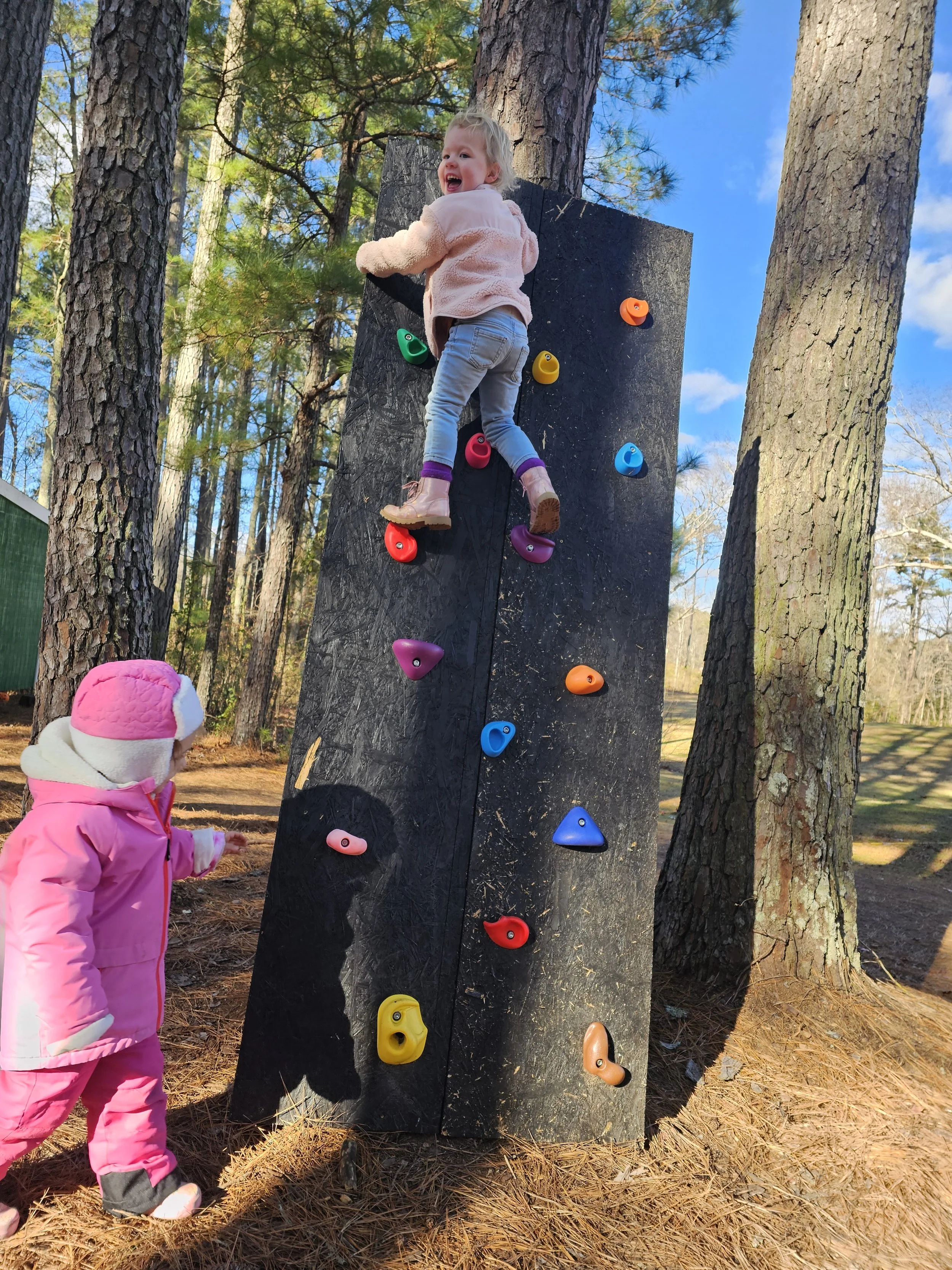 A young girl climbing a black outdoor climbing wall with colorful holds, while another girl in a pink coat and hat watches nearby in a wooded park.