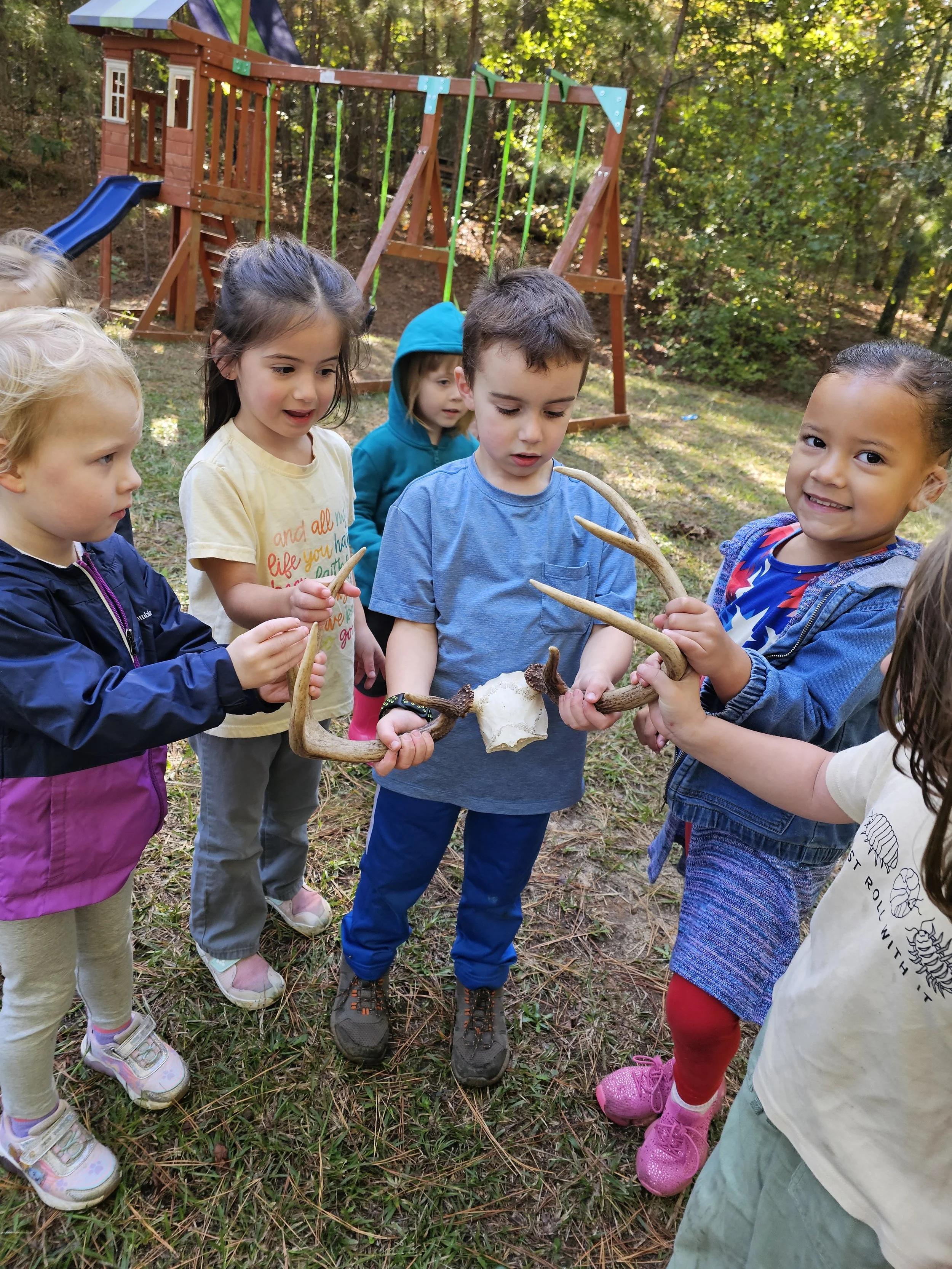 Group of young children outdoors in a wooded area, holding a large animal horn with a white bone in the middle, gathered around and examining it. In the background, there is a wooden playground set with a slide.