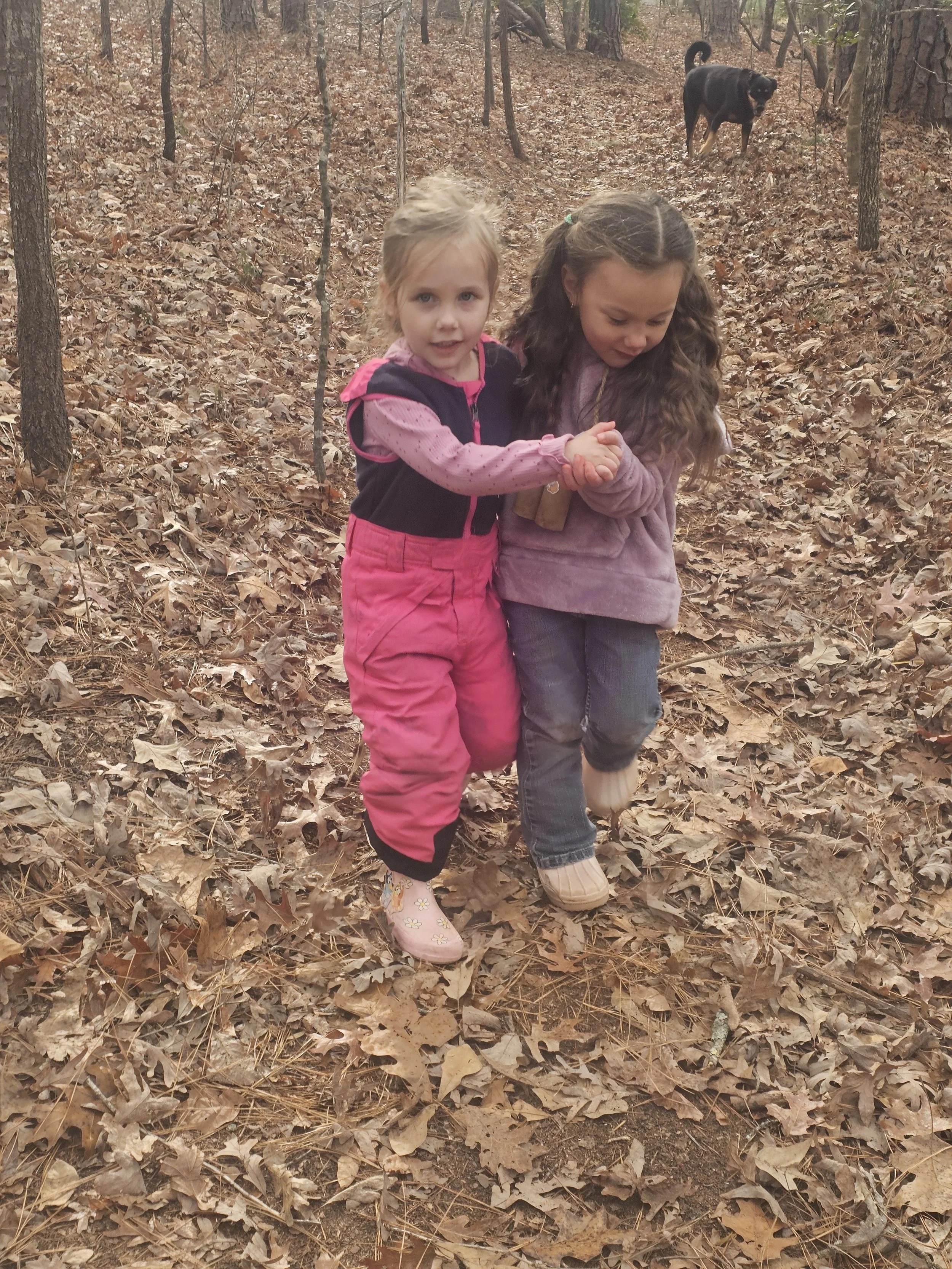 Two young girls holding hands and walking through a leaf-covered forest, with a black dog in the background.