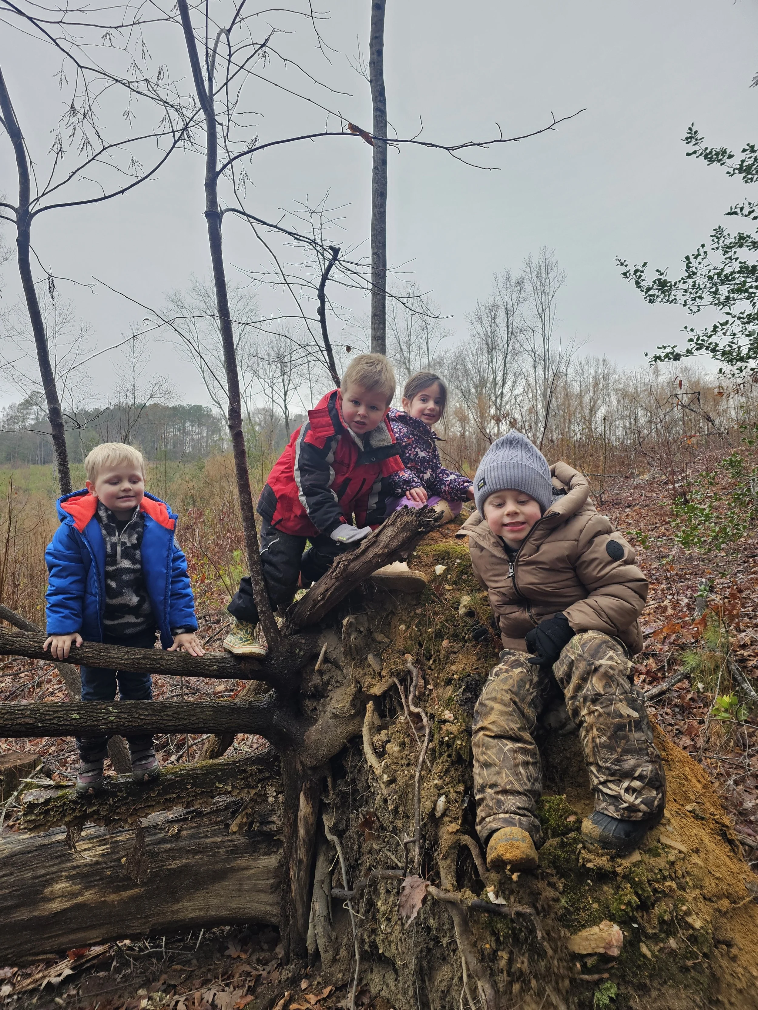 Four children playing on a fallen tree in a forest during autumn, with bare trees and overcast sky.