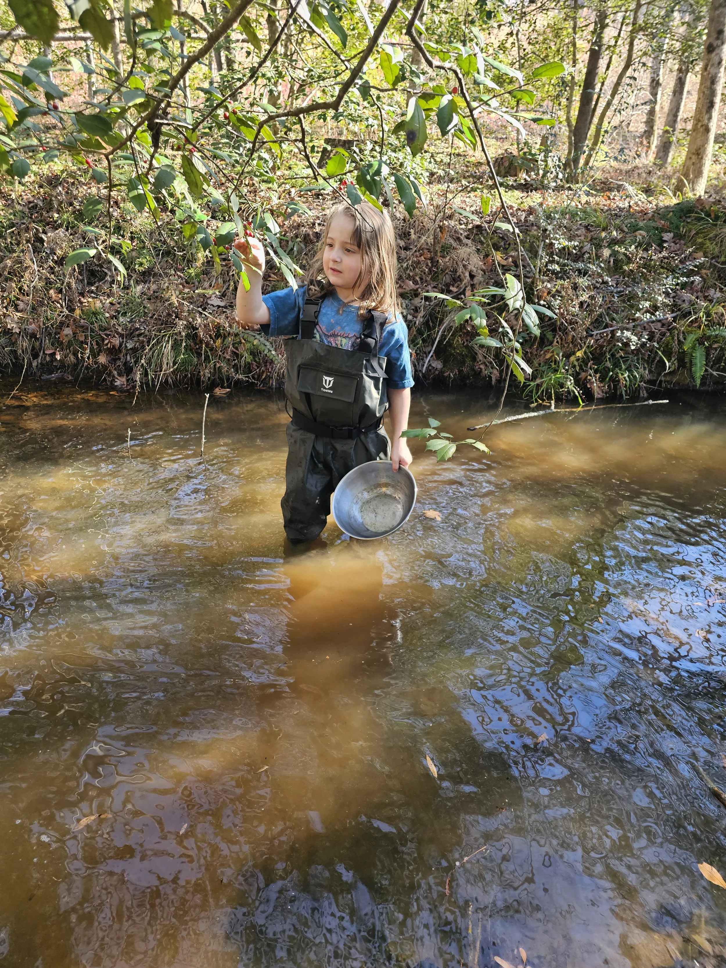 A young girl standing in a shallow creek in a forest, holding a metal pan in her right hand and reaching up with her left hand to touch a branch with green leaves.