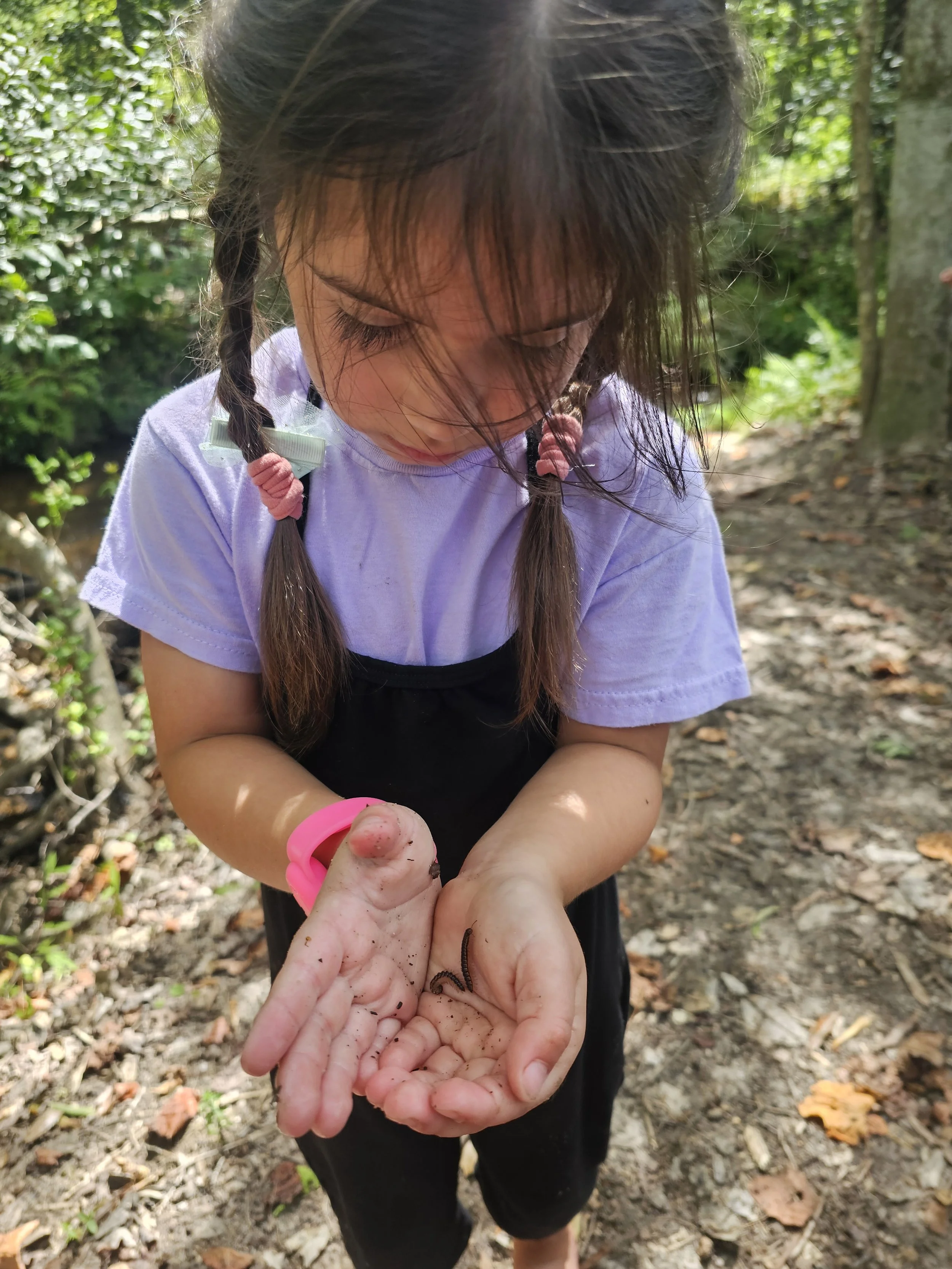 A young girl with braided hair and a pink watch holding a small black worm in her hands while standing outdoors on a dirt path surrounded by green foliage.