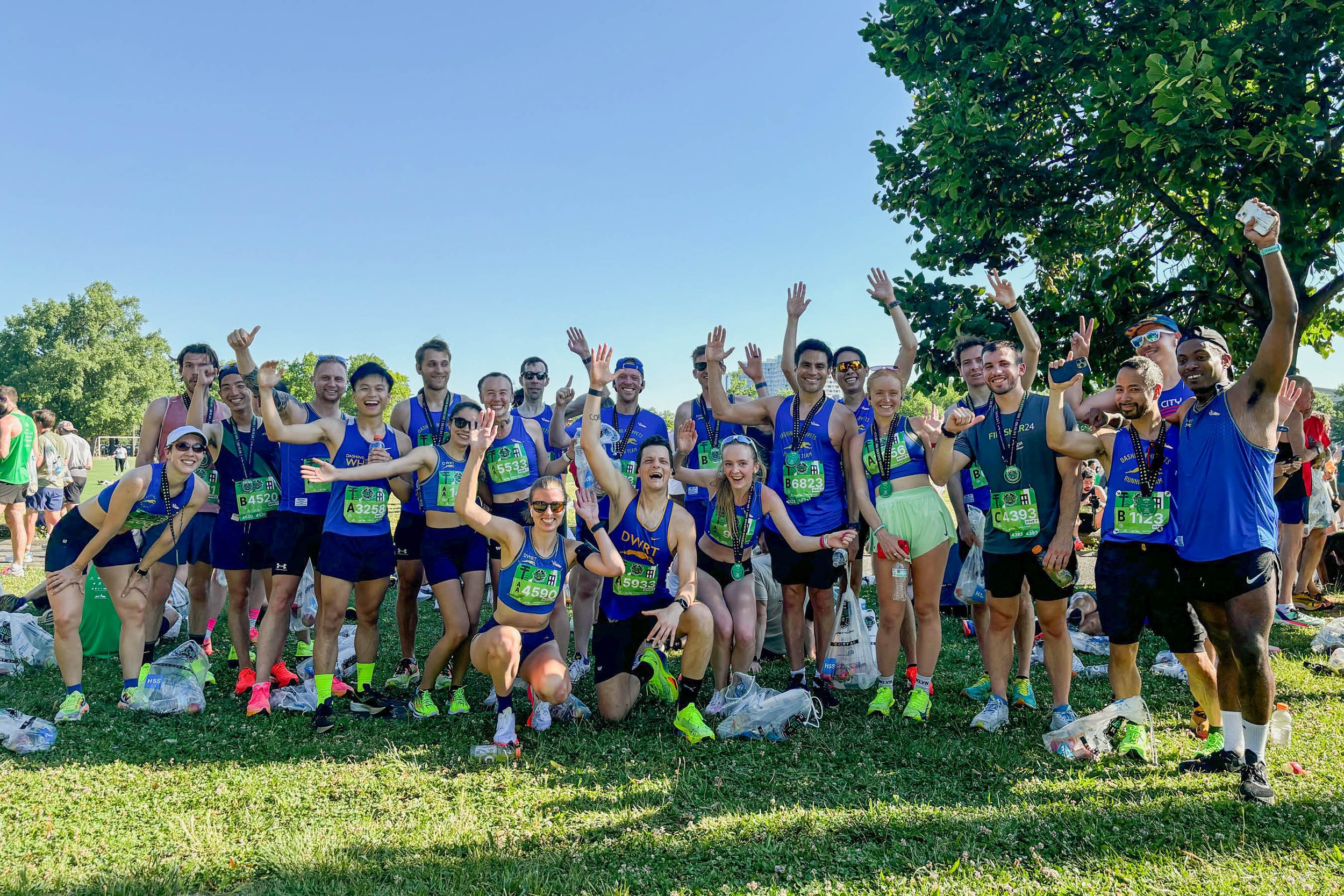 Dashing Whippets at the NYRR Citizens Queens 10K