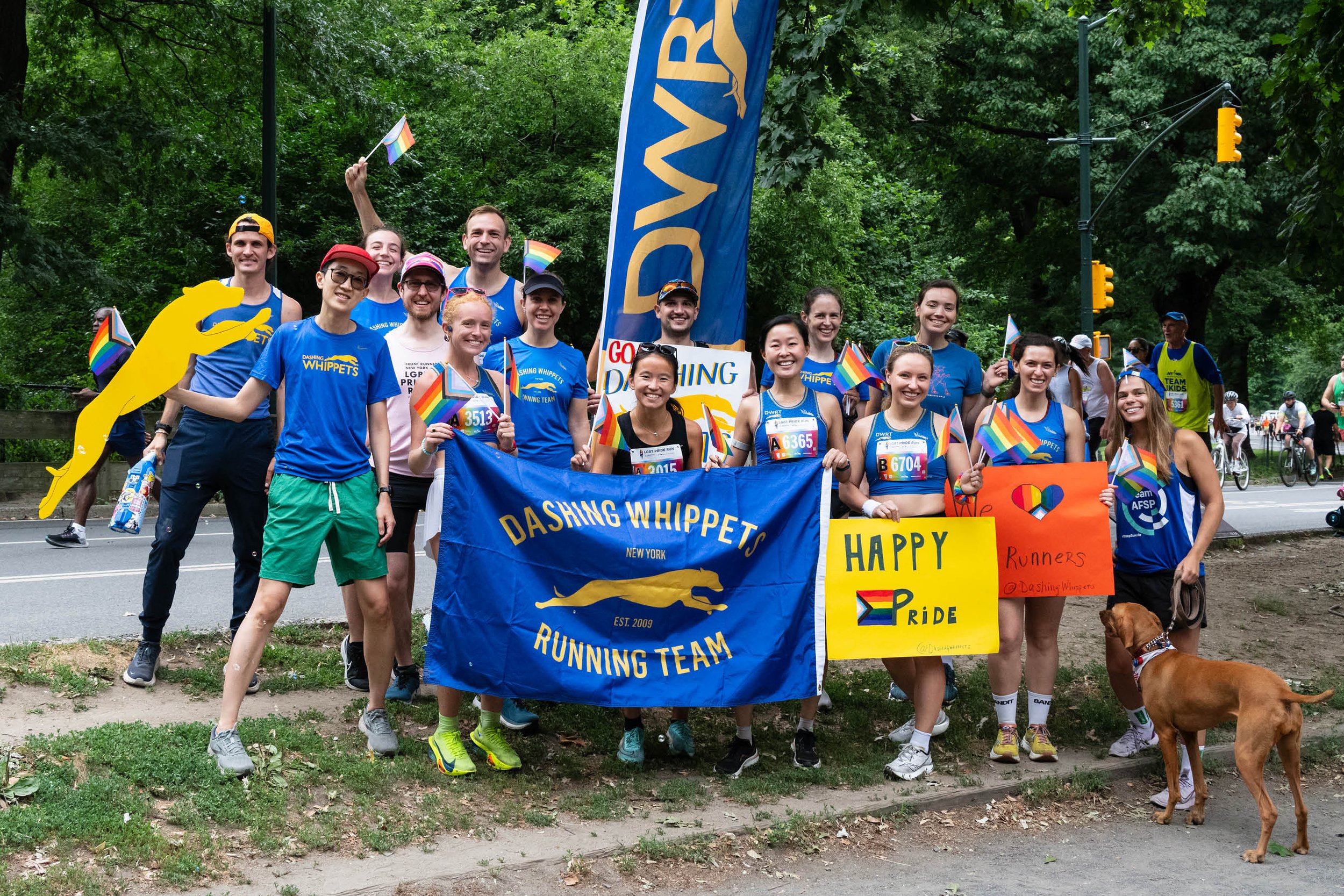 Dashing Whippets at the NYRR Front Runners Pride 4 Mile Photo Credit: Stephen Cox