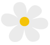 urban daisy