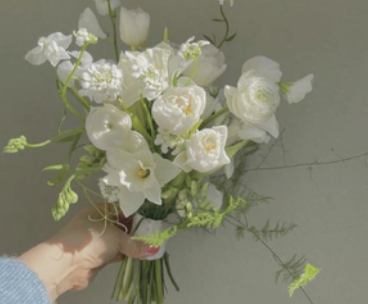 Hand holding a bouquet of white flowers against a plain background.