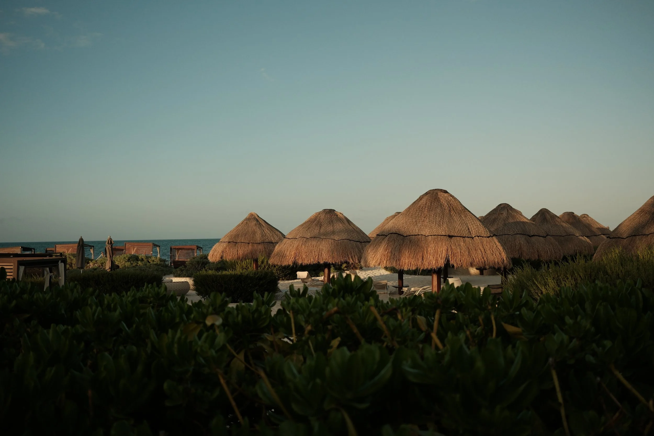 Beach chairs and thatched umbrellas on a beach with the ocean in the background, under a clear sky.