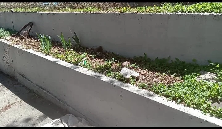 Maybe your property is a blank canvas and you have some ideas on how to design it. We've got you covered!