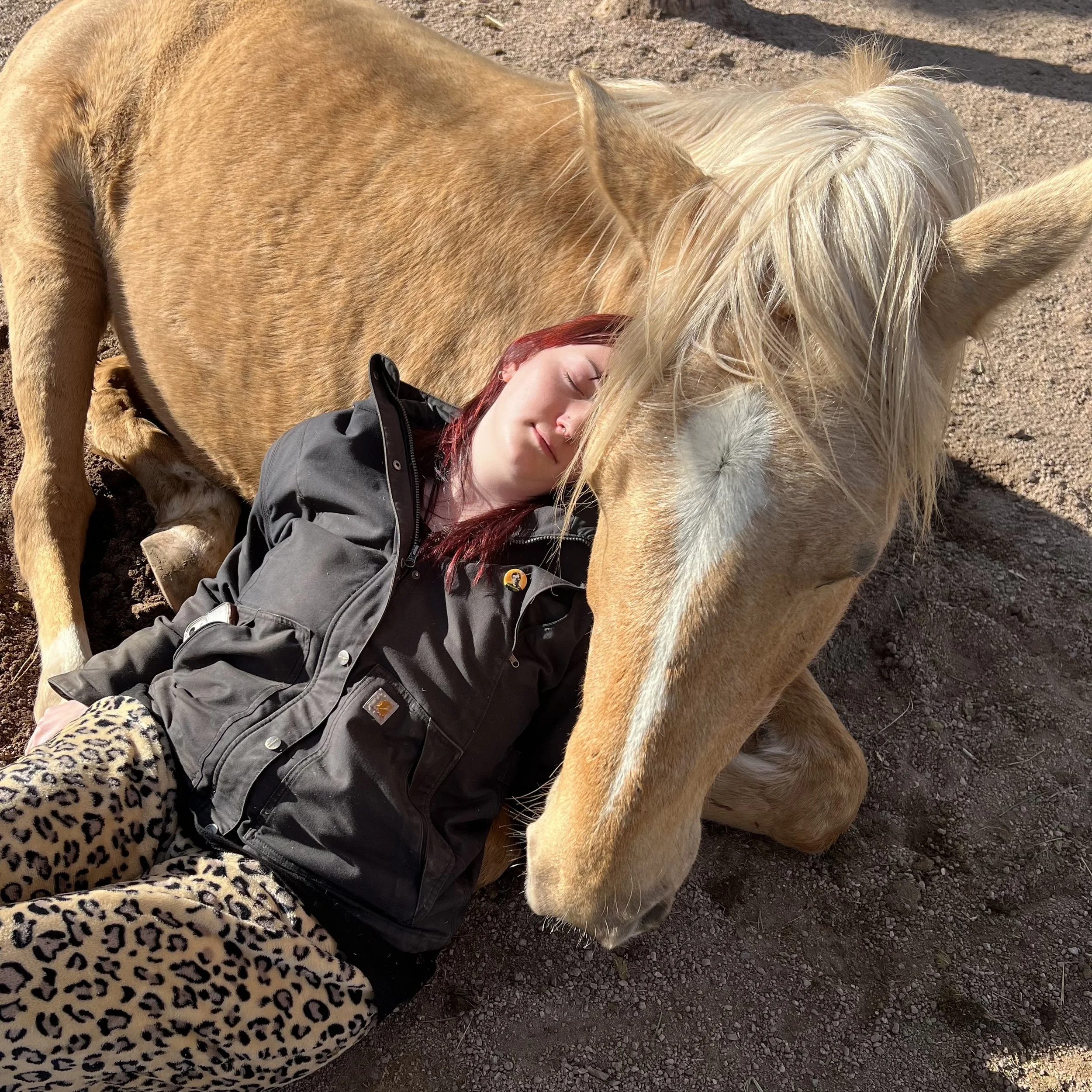 Small Steps Create Big Shifts 