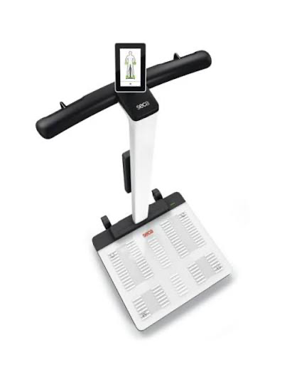 Exercise machine with a digital display and a platform for standing, designed for physical fitness testing or training.