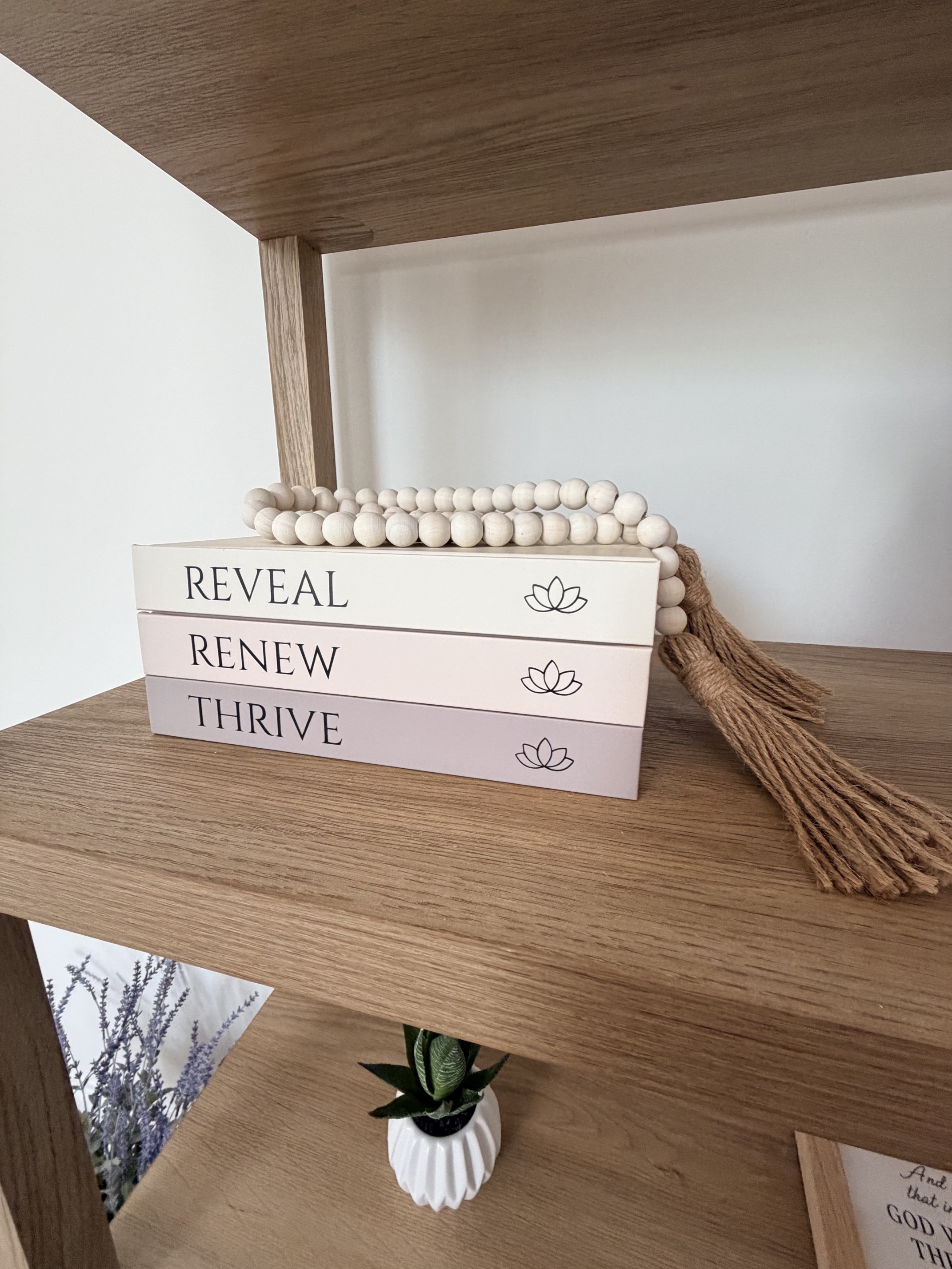 A wooden shelf holding three white books with black text and lotus flower icons, a string of wooden beads, and a brown tassel. A small potted plant with variegated green and white leaves is placed below the shelf.