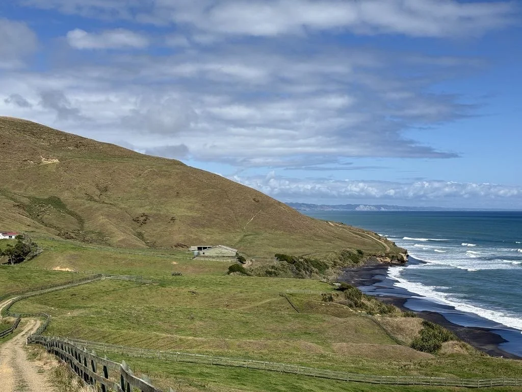 Photo Coast.JPG