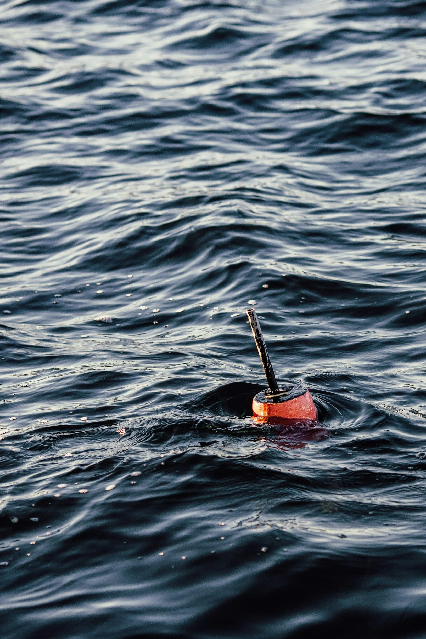 Red buoy floating on dark water