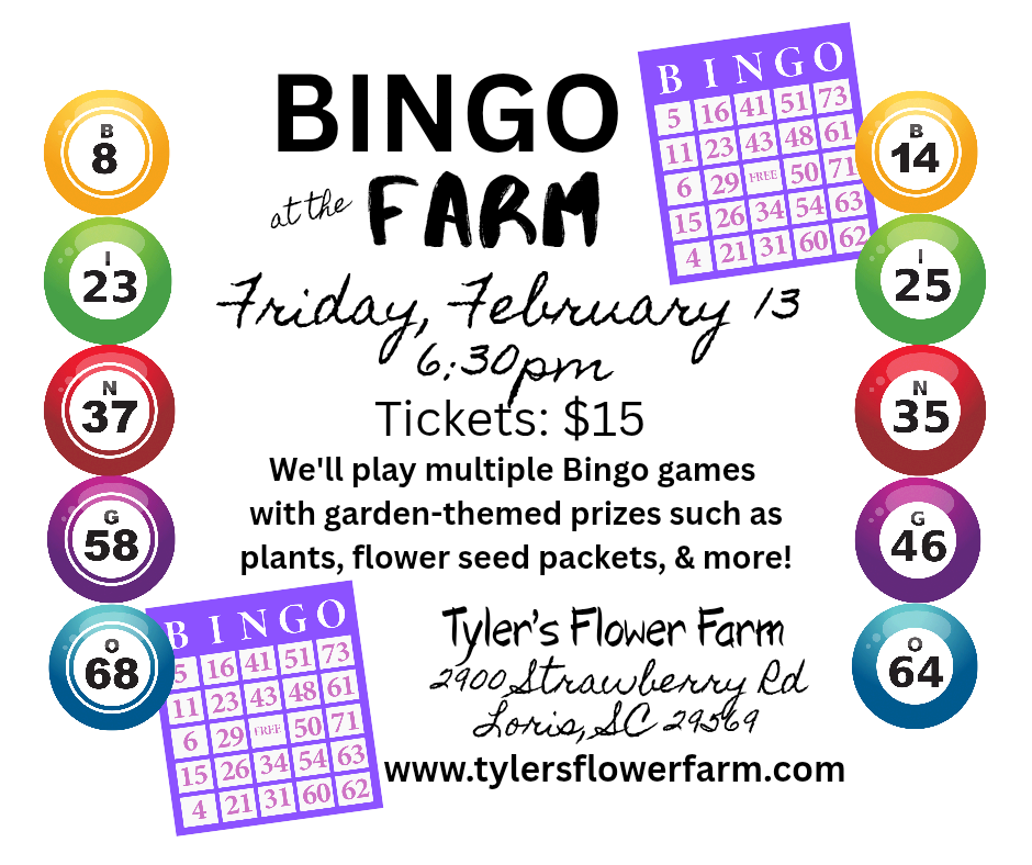 Bingo at the farm_20260107_010140_0000.png