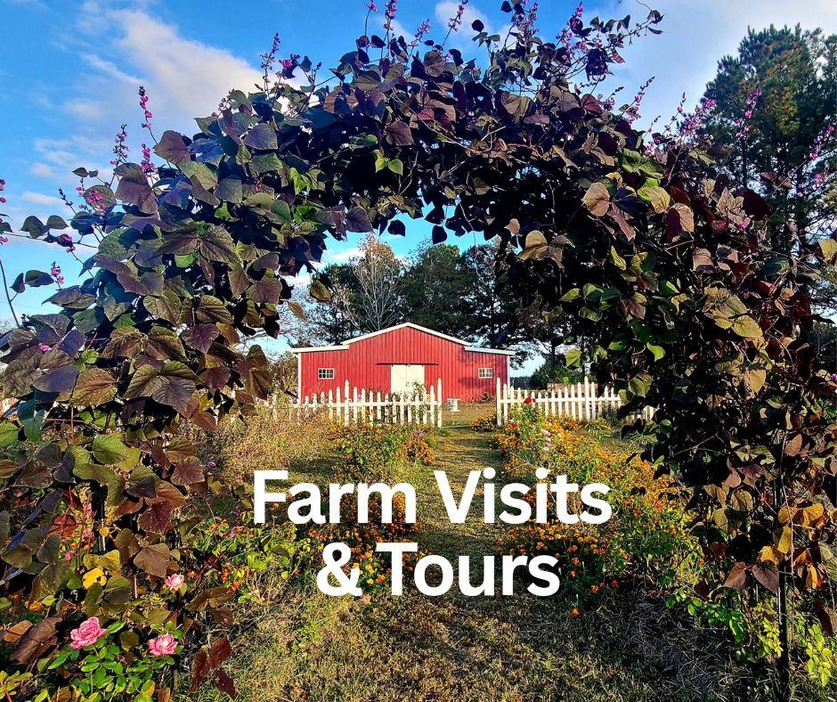 Farm Visits_Tours_20251221_151314_0000.png