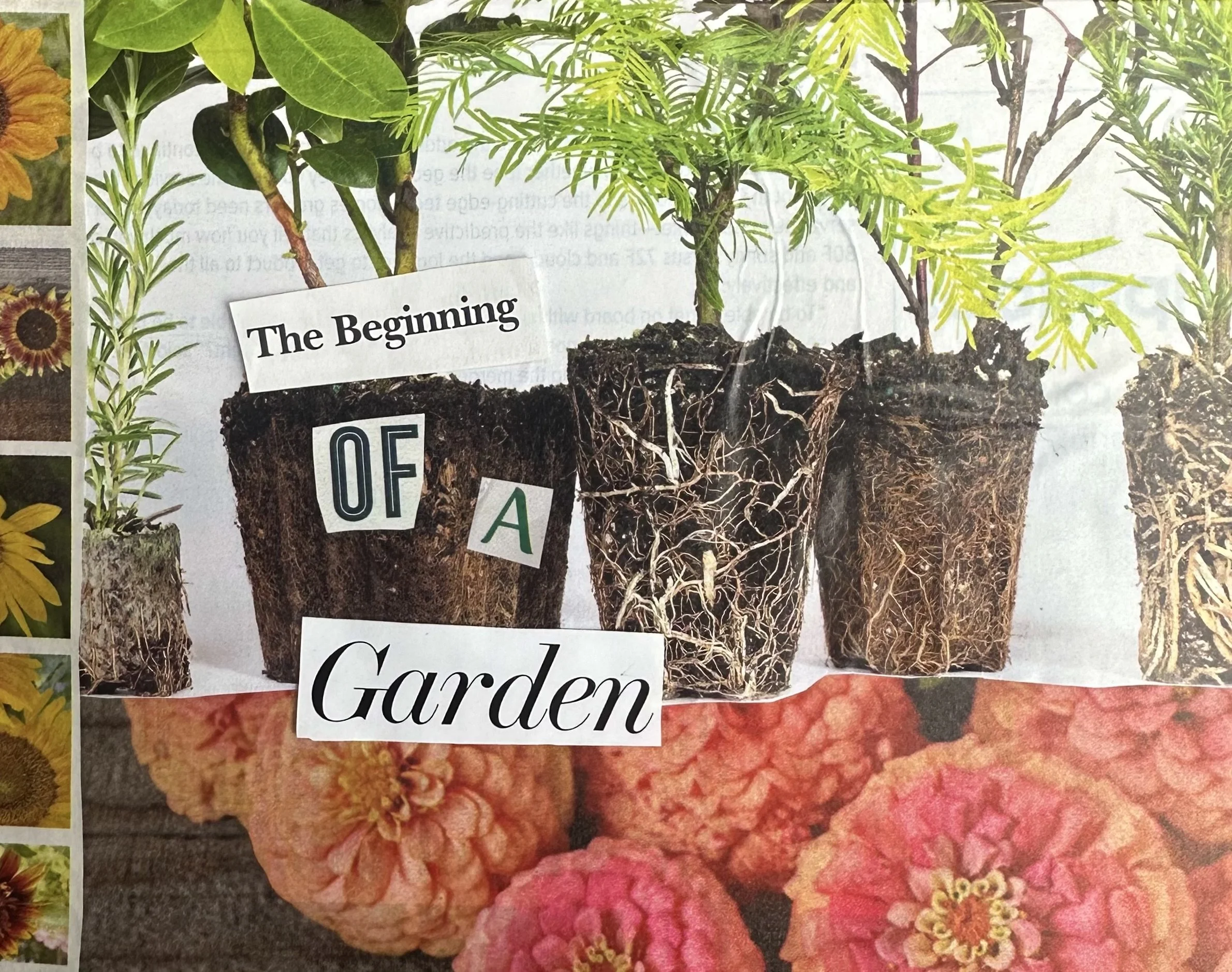Celebrate Spring! Start a garden! with Anna Mae Becker