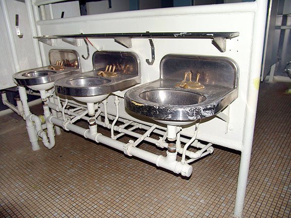 550.jpg