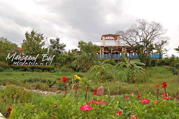 012-0007-Tropical-Paradise.jpg