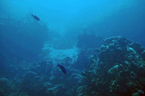 031-0007-Atlantis-Diving.jpg