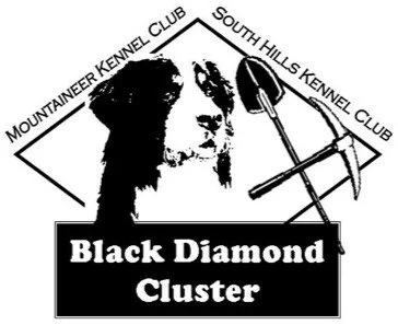 2027 Black Diamond Cluster