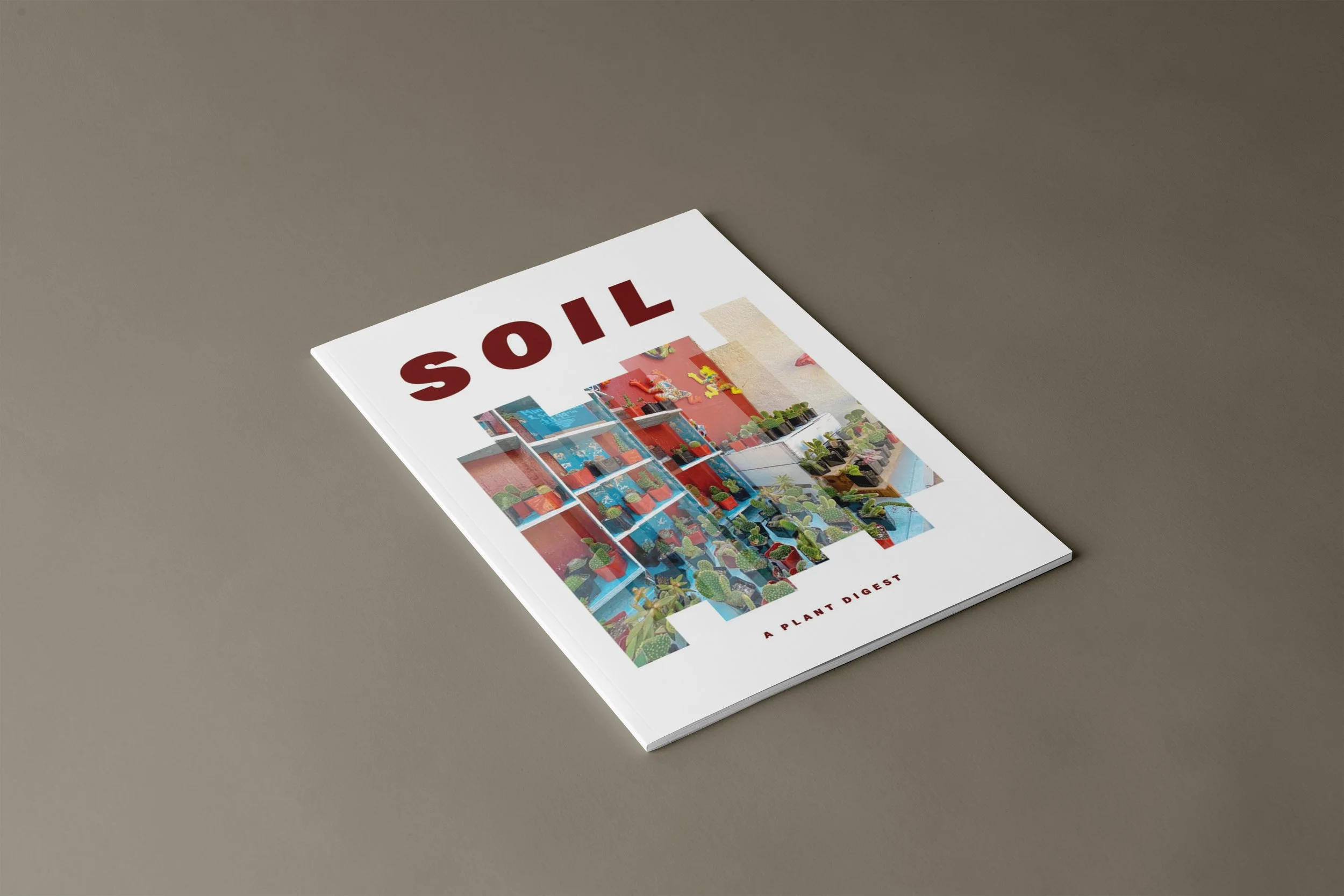 Magazine titled 'SOIL' with a colorful cover photograph of potted plants on shelves.