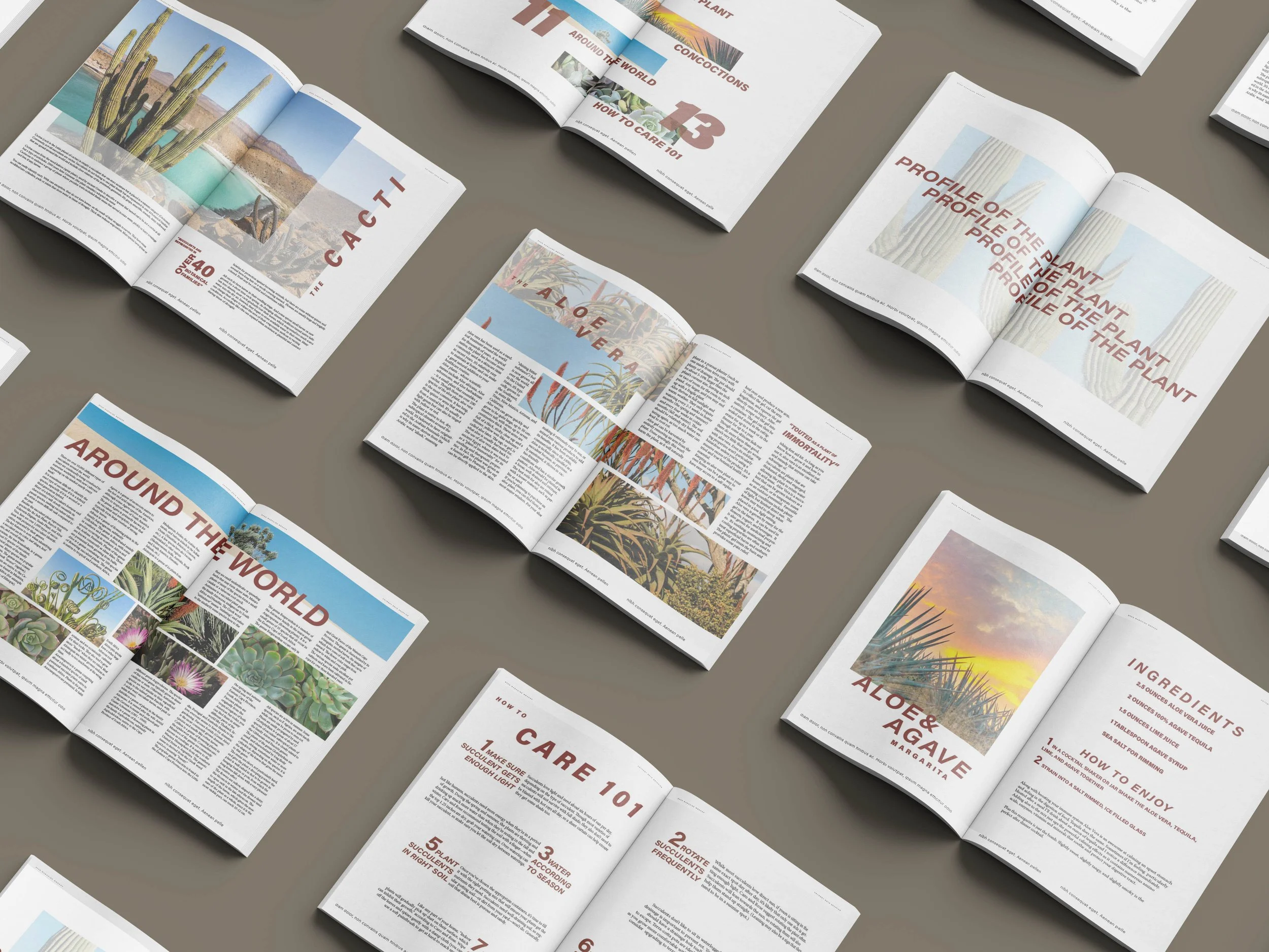 Open magazines with articles and images about cacti, aloe vera, succulents, and desert plants. The pages feature plant photographs, headlines, and informational text.