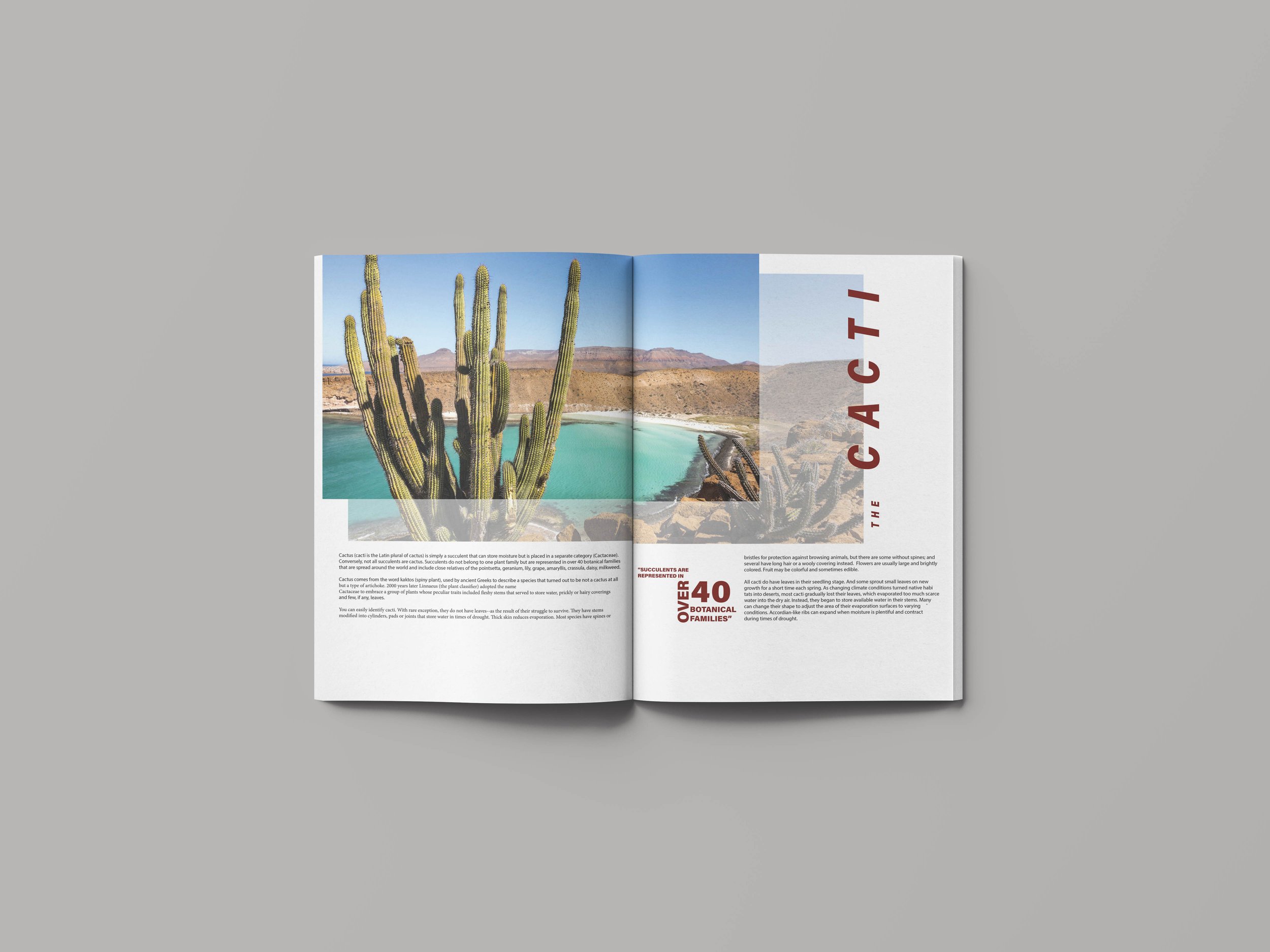 Open magazine showing a desert landscape with a large cactus, a body of water, and mountains in the background. The word "Cactus" is printed vertically on the right page.