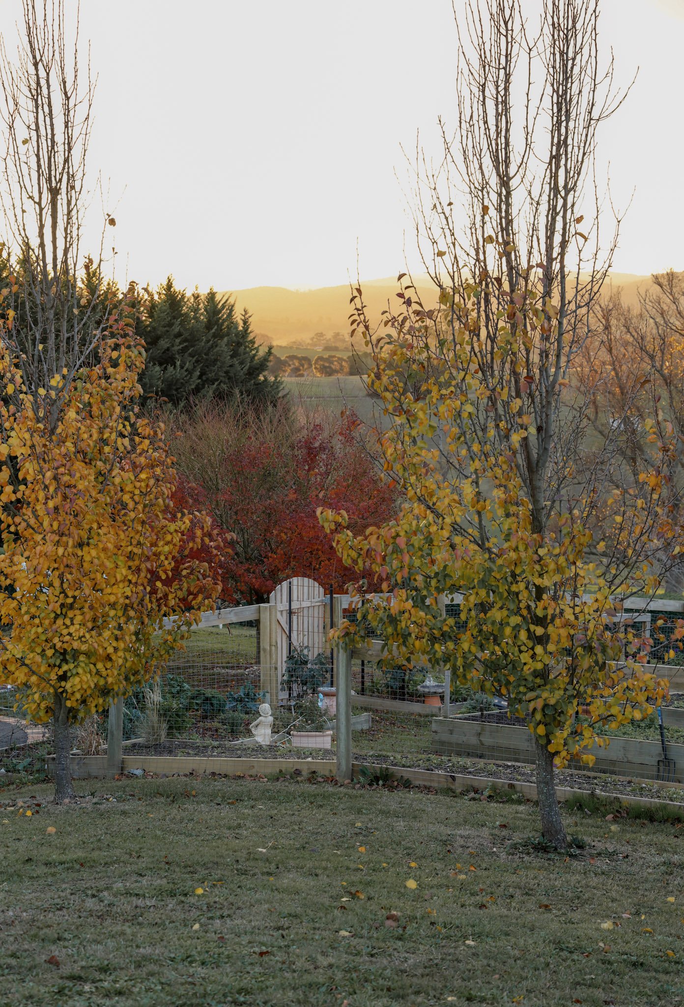 _MG_2691.jpg