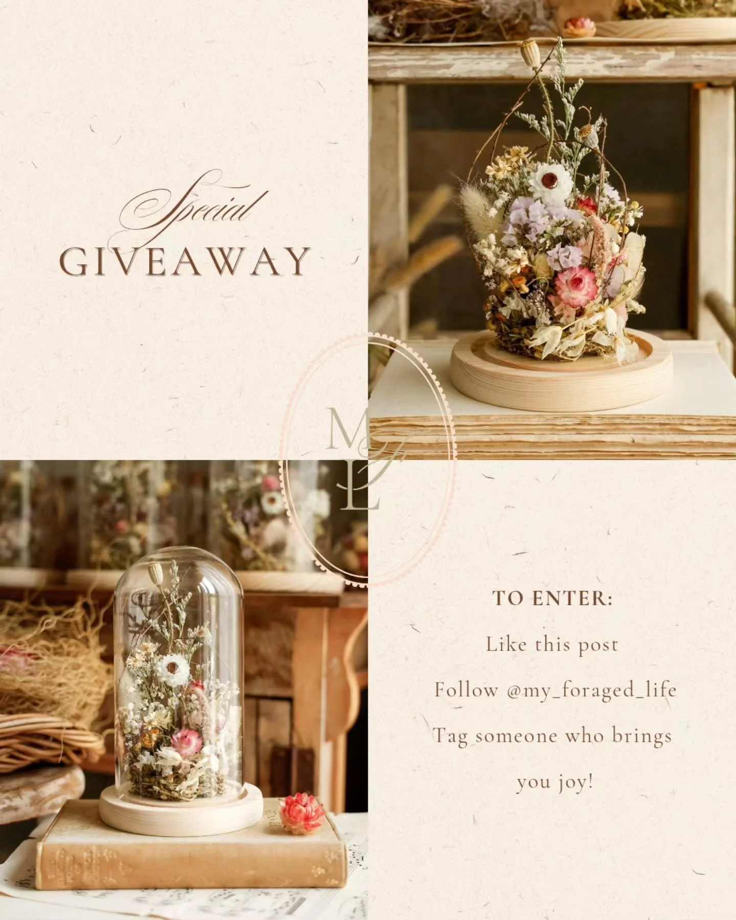 〰️ Special Giveaway 〰️

To celebrate the joy of giving this season ~ and to say thank you for all the love shown to my new website, I am gifting a Songbird Nest Cloche to one lucky flower friend.

How to enter:
💗 Like this post
🌿 Follow @my_foraged
