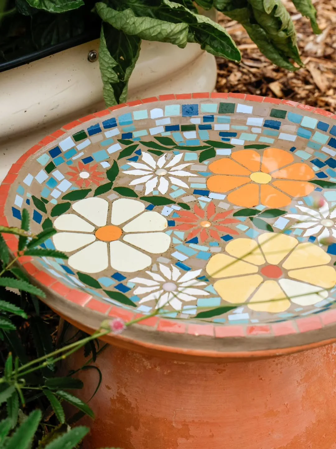 This morning&rsquo;s ritual ~ watering the patch and refilling the bee bowl 🐝🩵🌿

Fresh water for the little critters who call our garden home. This beautiful mosaic bowl is a piece I made at a workshop with @mosaicsbythebay, now living out here am