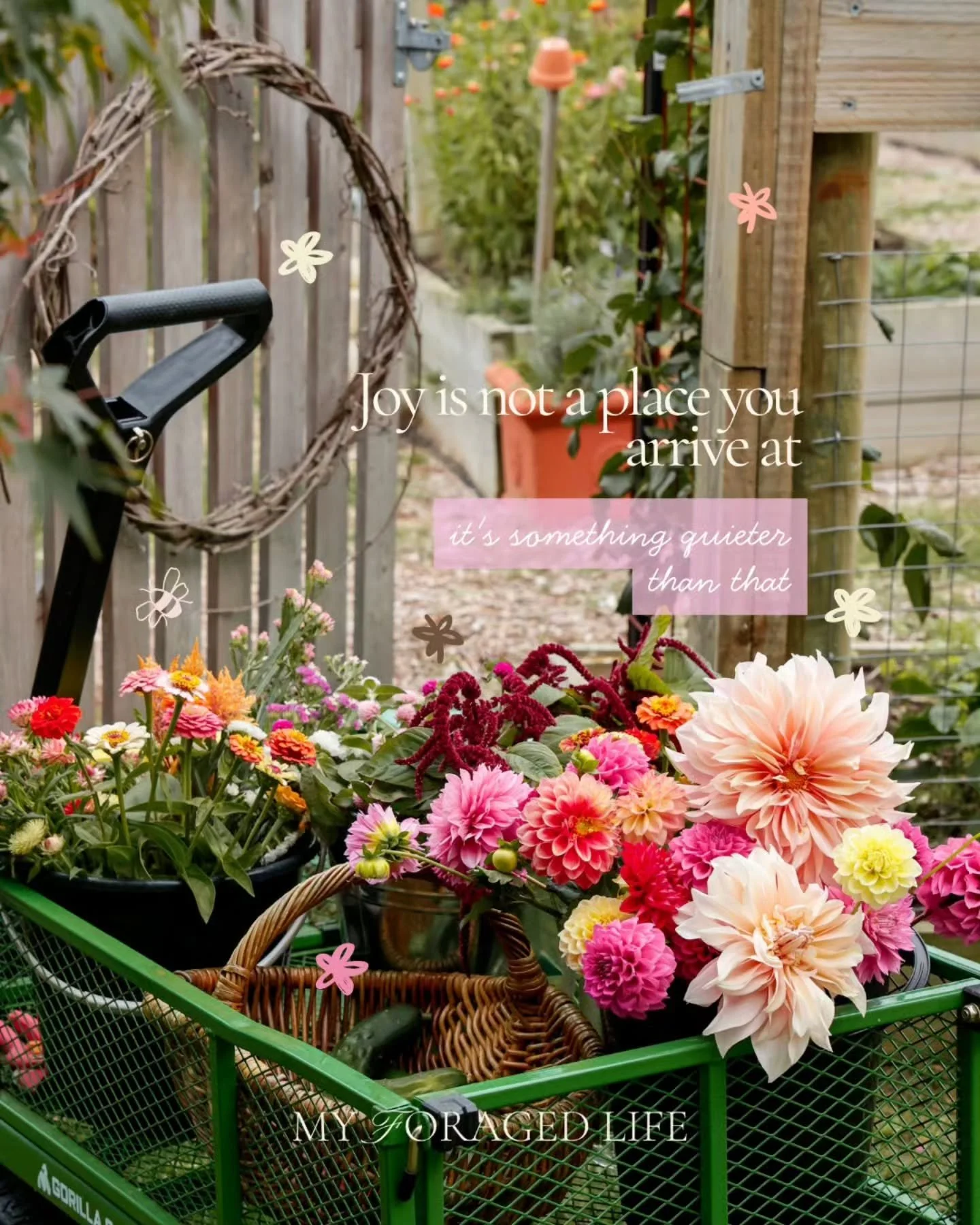 A few colourful moments I&rsquo;ve captured this April ~ flowers we grow and share, bringing a quiet, incidental joy.

☘️✨️🩷