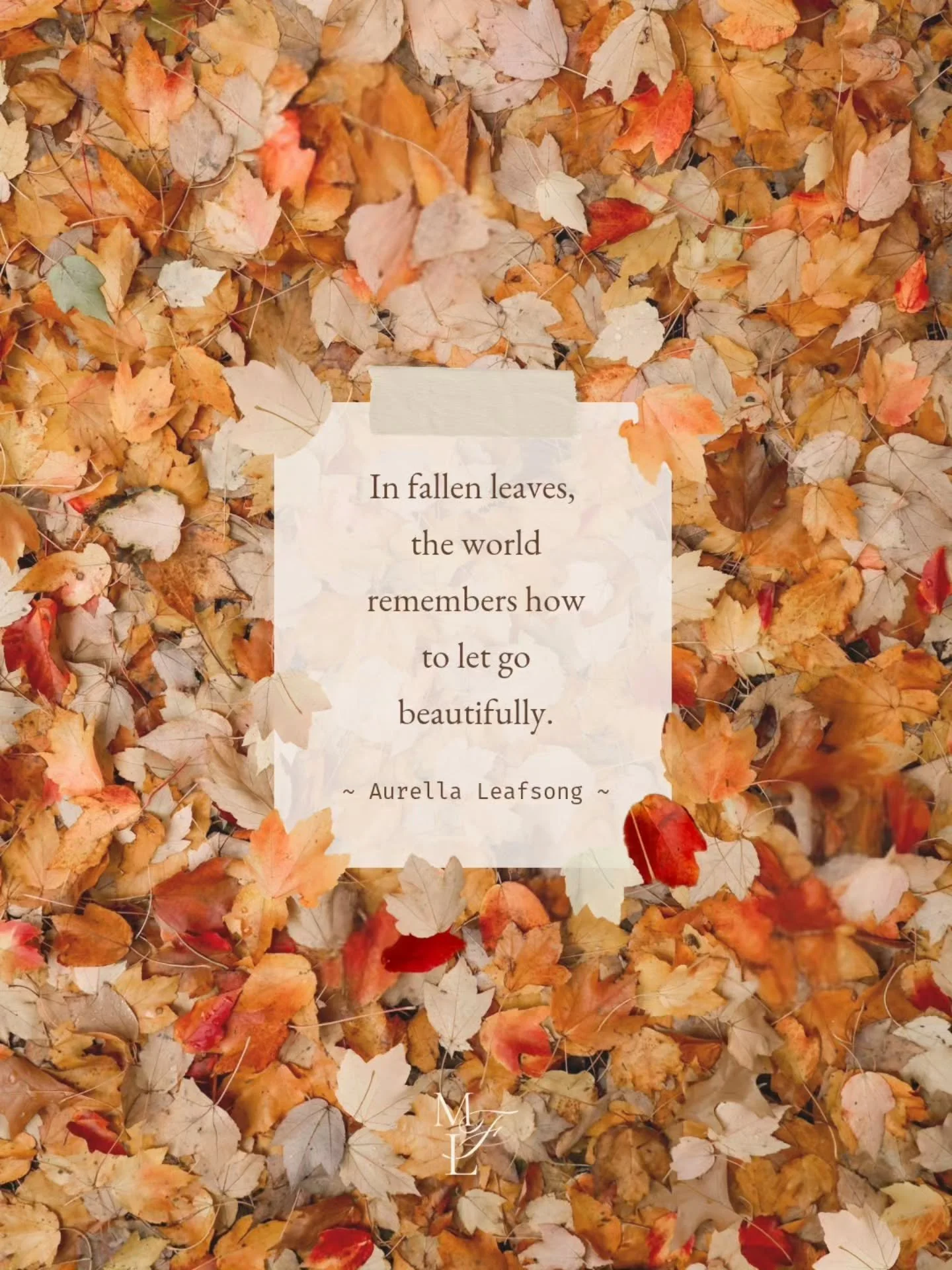 Autumn musings... 🍂🤎🍁