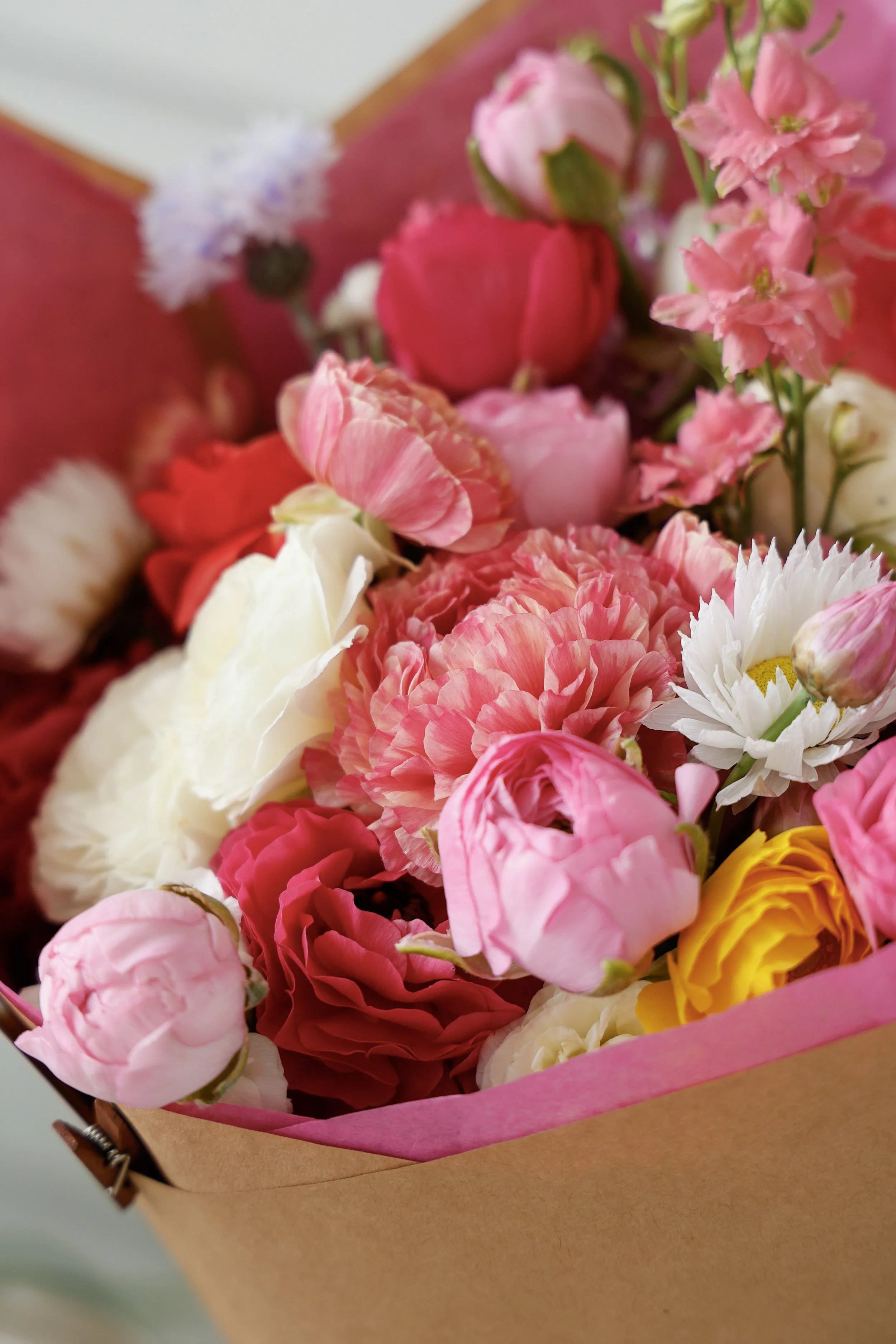 2-_MG_6400 (1).jpg